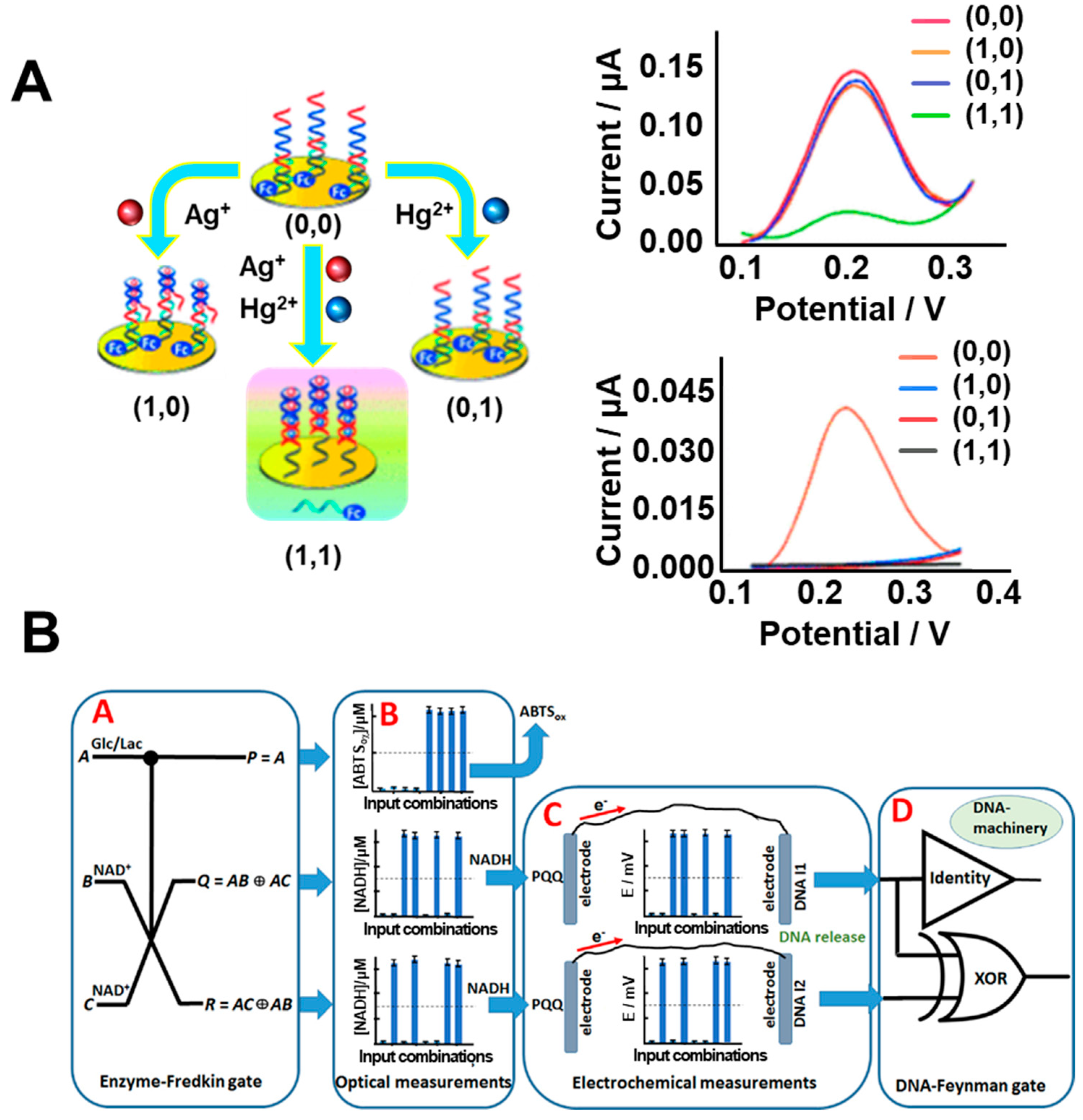 Micromachines 10 00347 g005