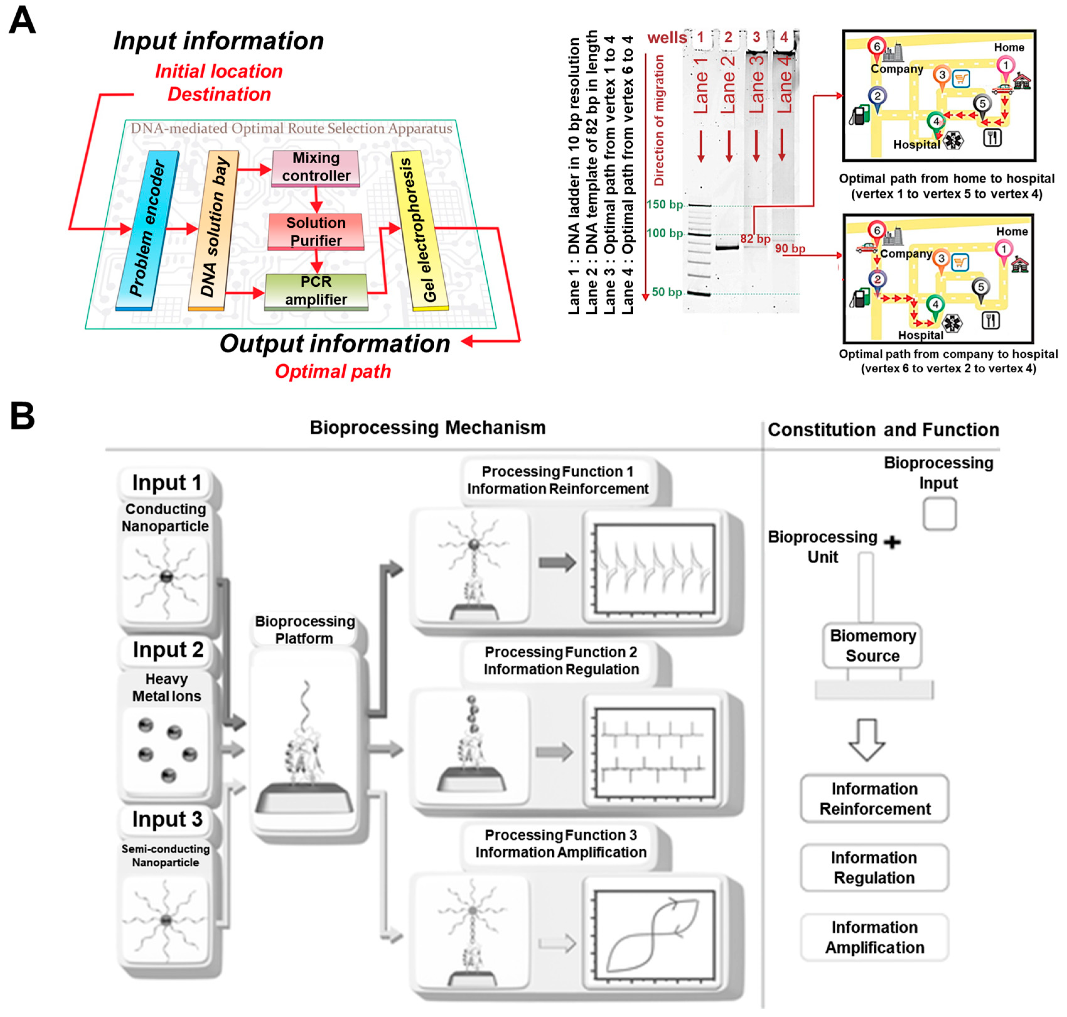 Micromachines 10 00347 g007
