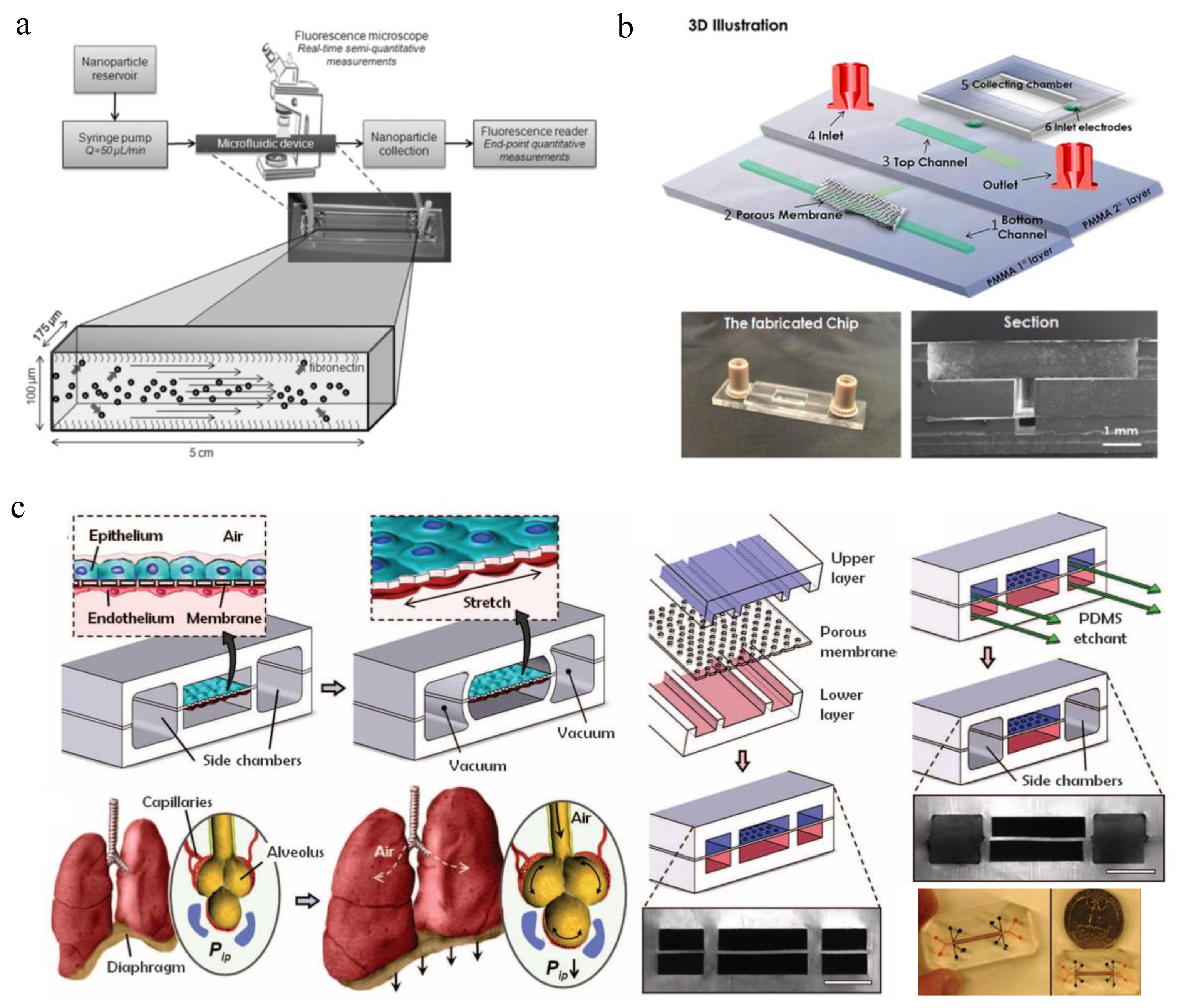 Micromachines 10 00414 g002