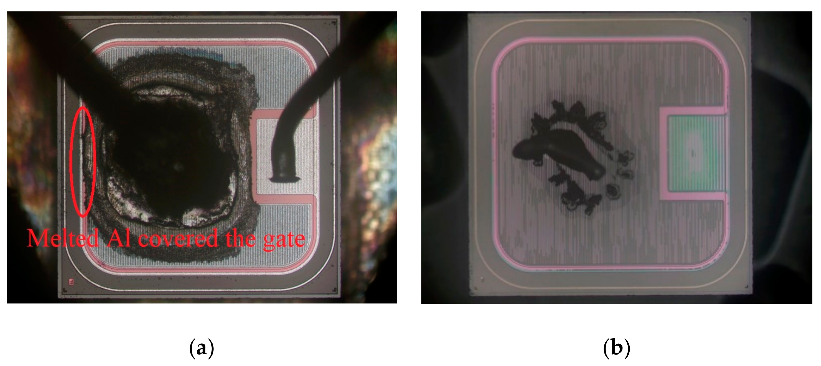 Micromachines 10 00485 g010