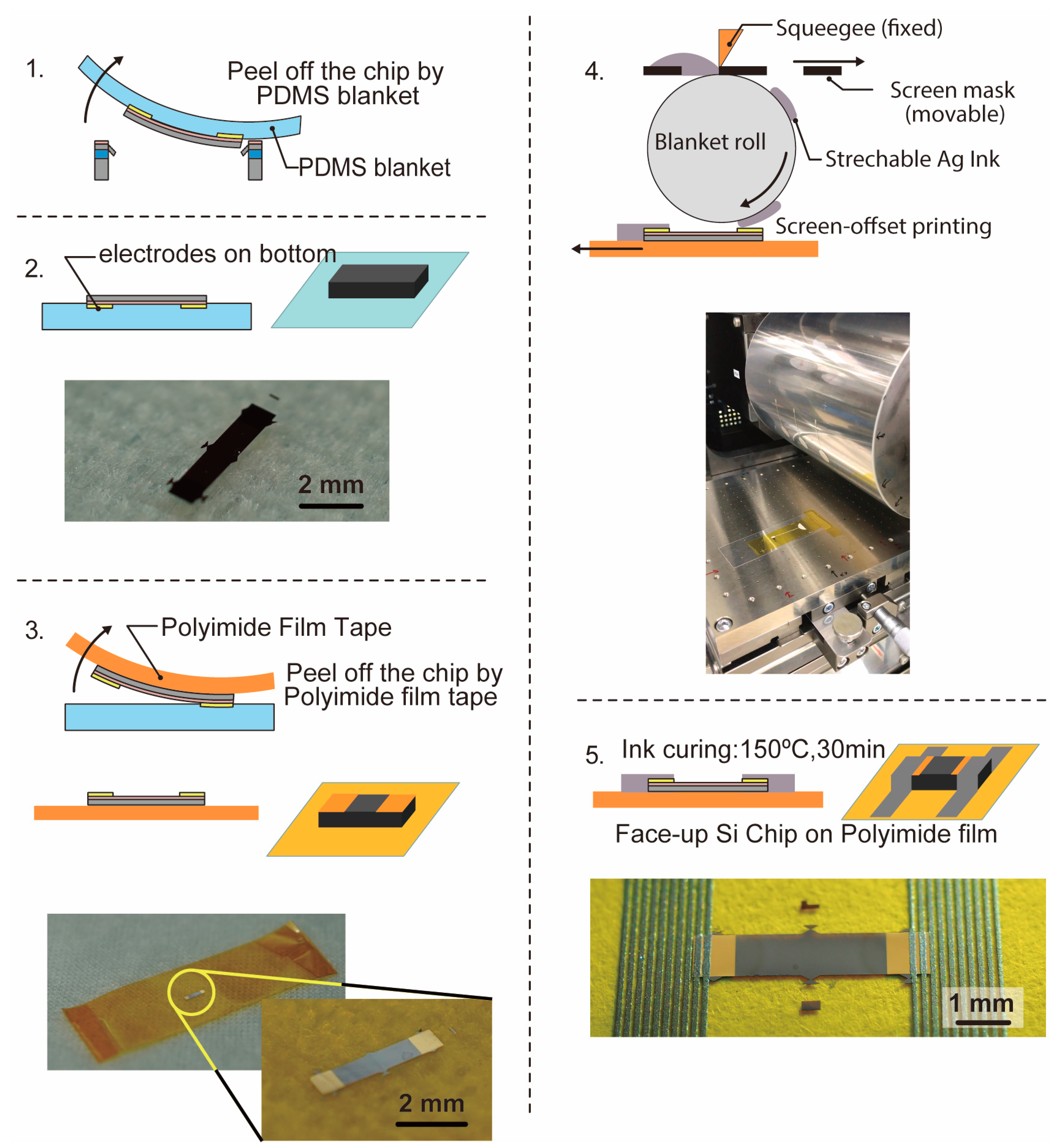 Micromachines 10 00563 g004