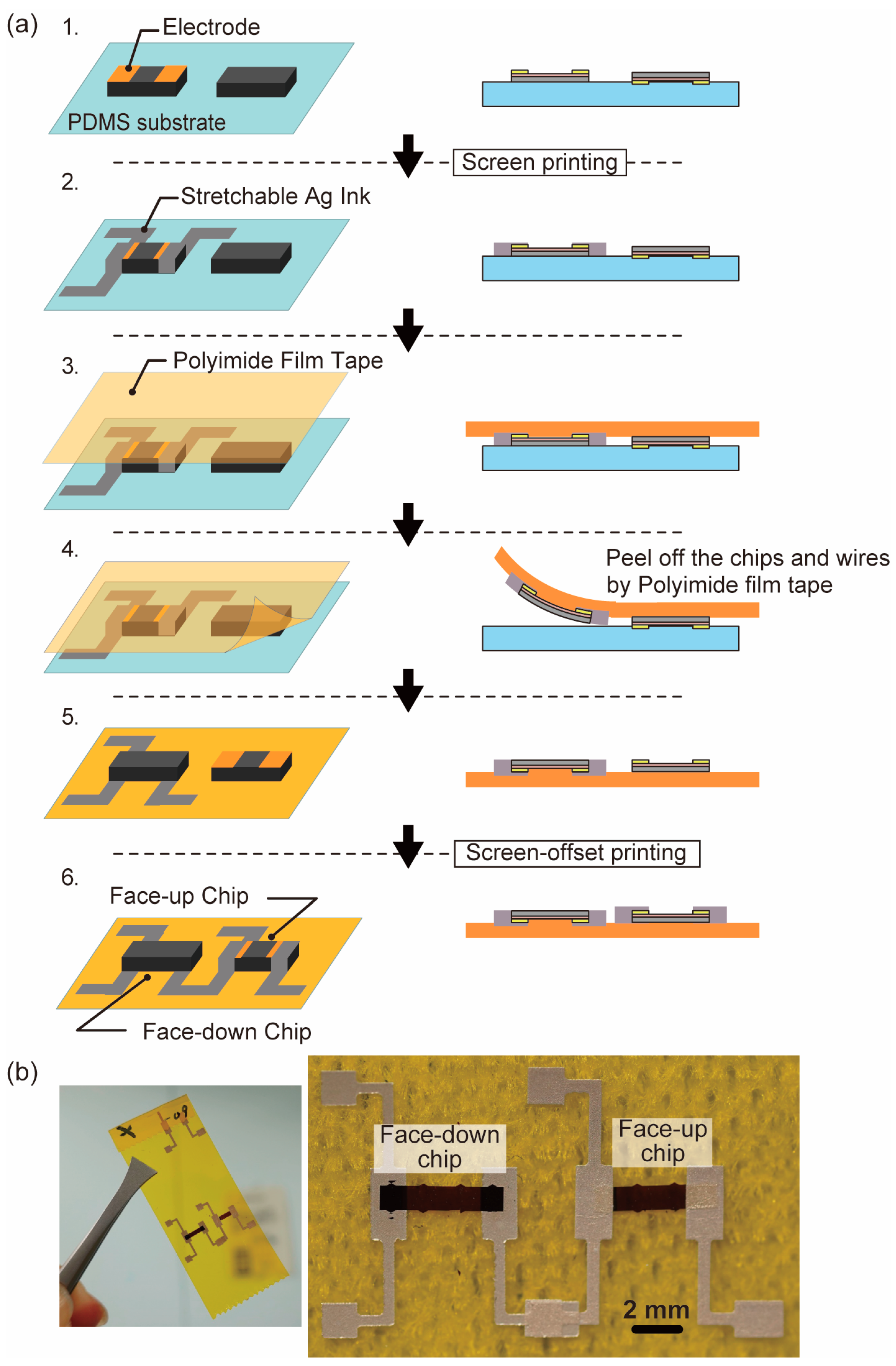 Micromachines 10 00563 g006