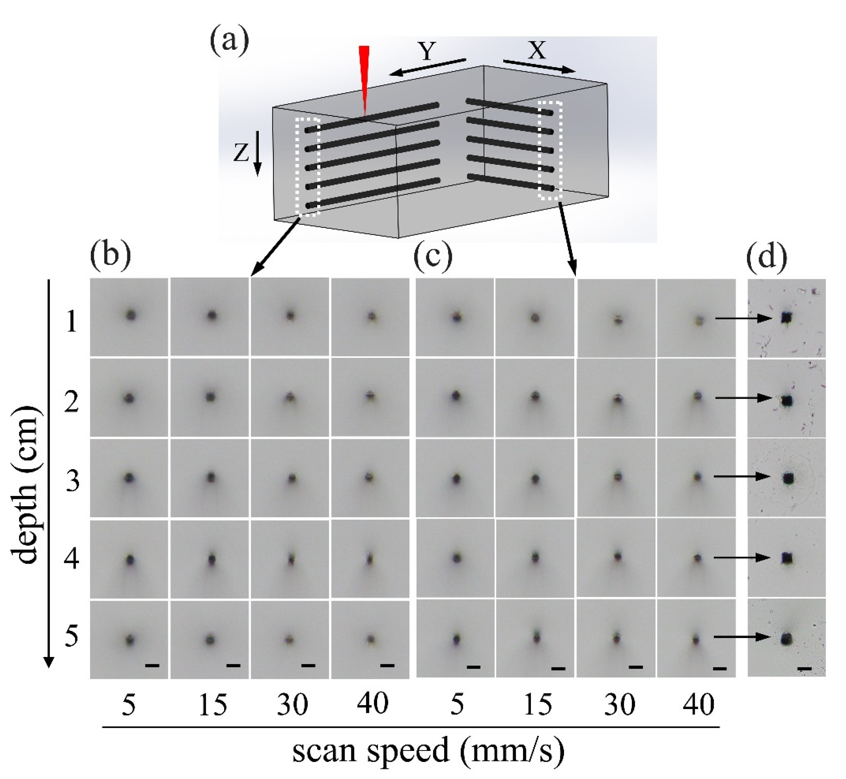 Micromachines 10 00565 g003 Micromachines 10 00565 g003