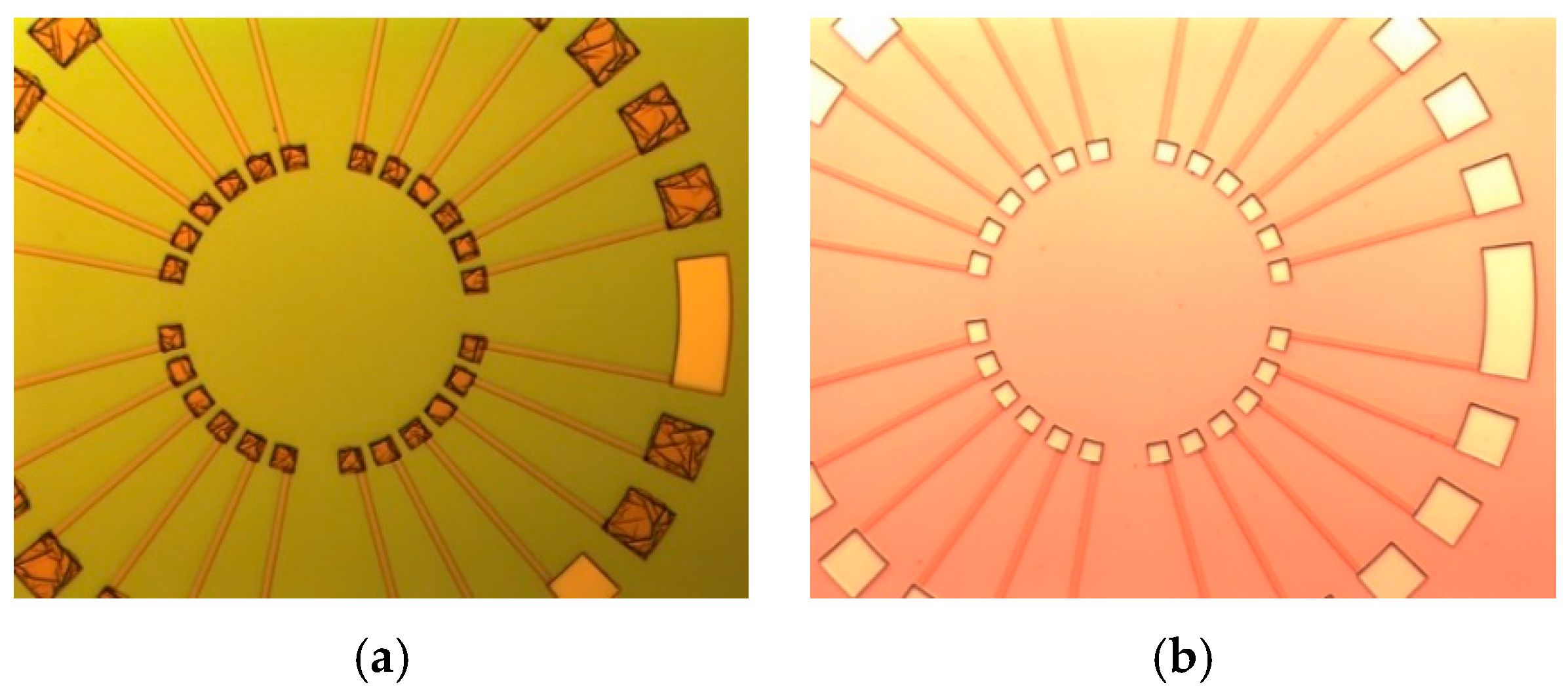 Micromachines 10 00650 g005