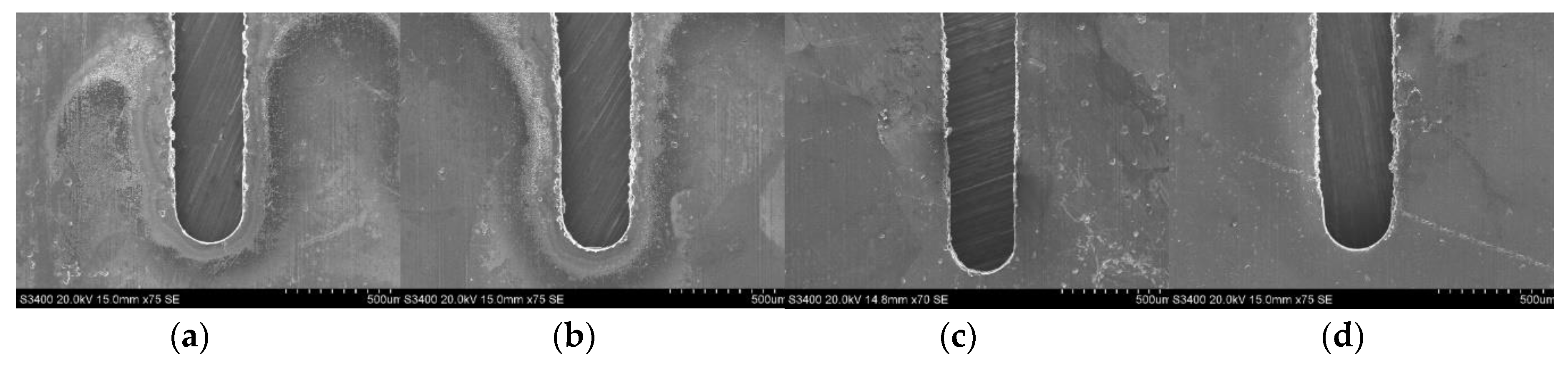 Micromachines 11 00122 g013