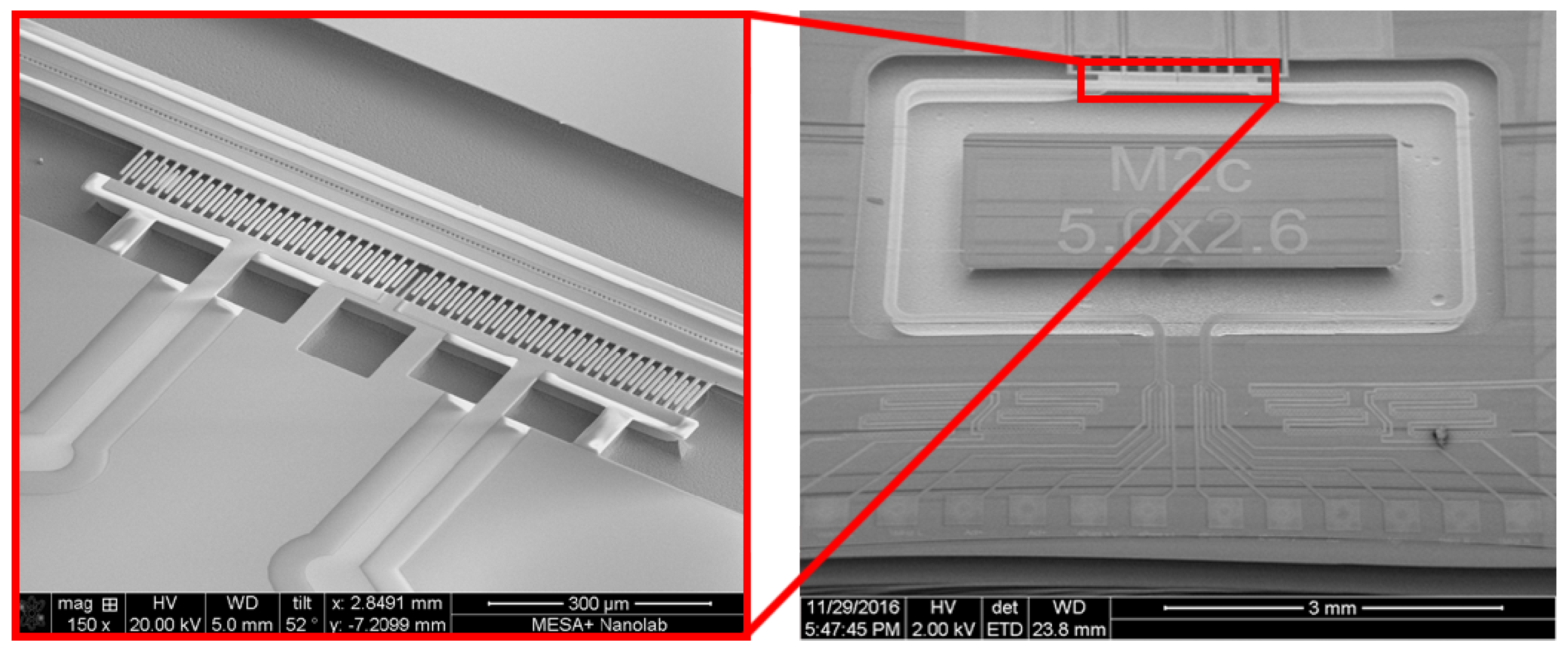 Micromachines 11 00184 g002