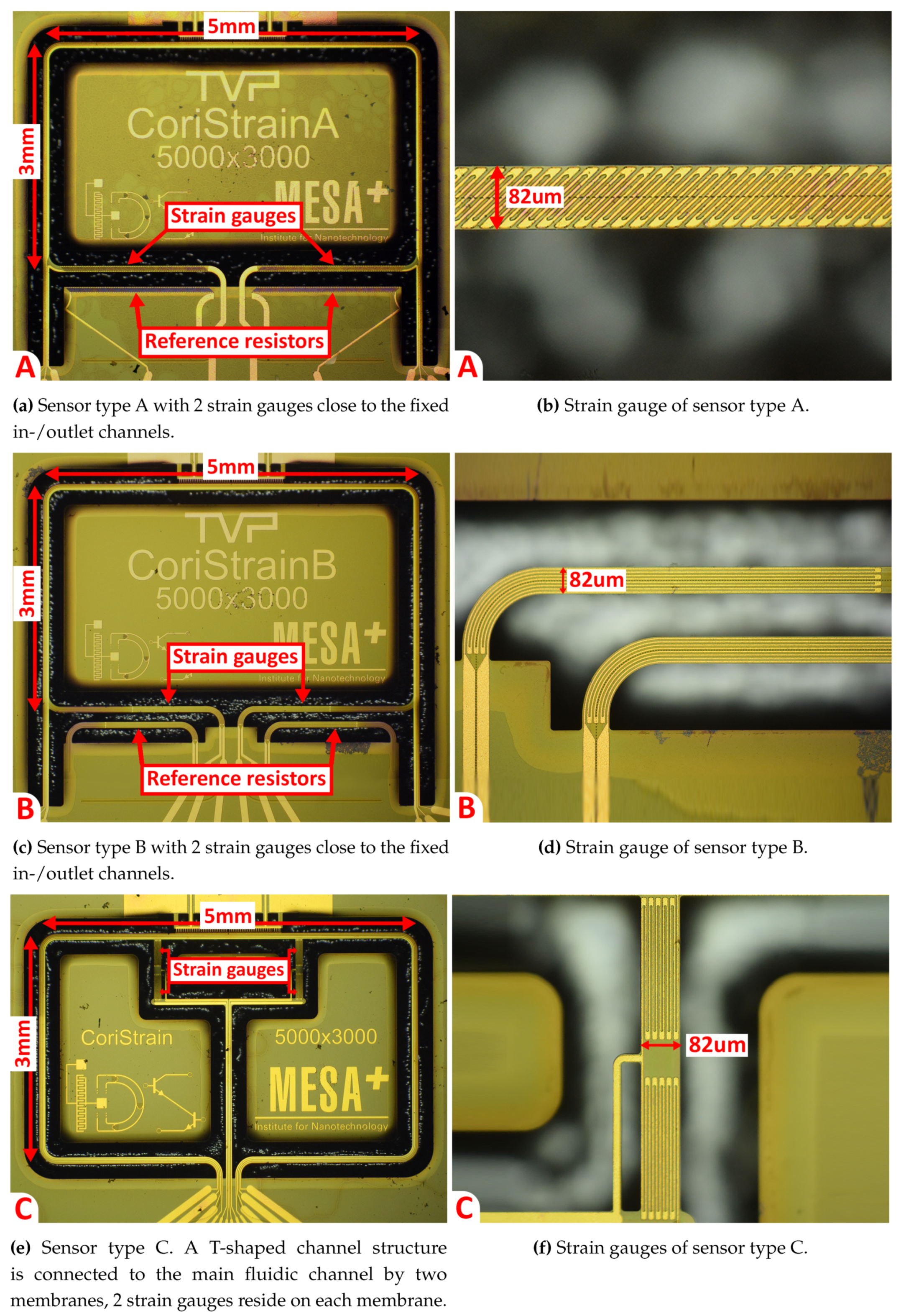 Micromachines 11 00184 g010