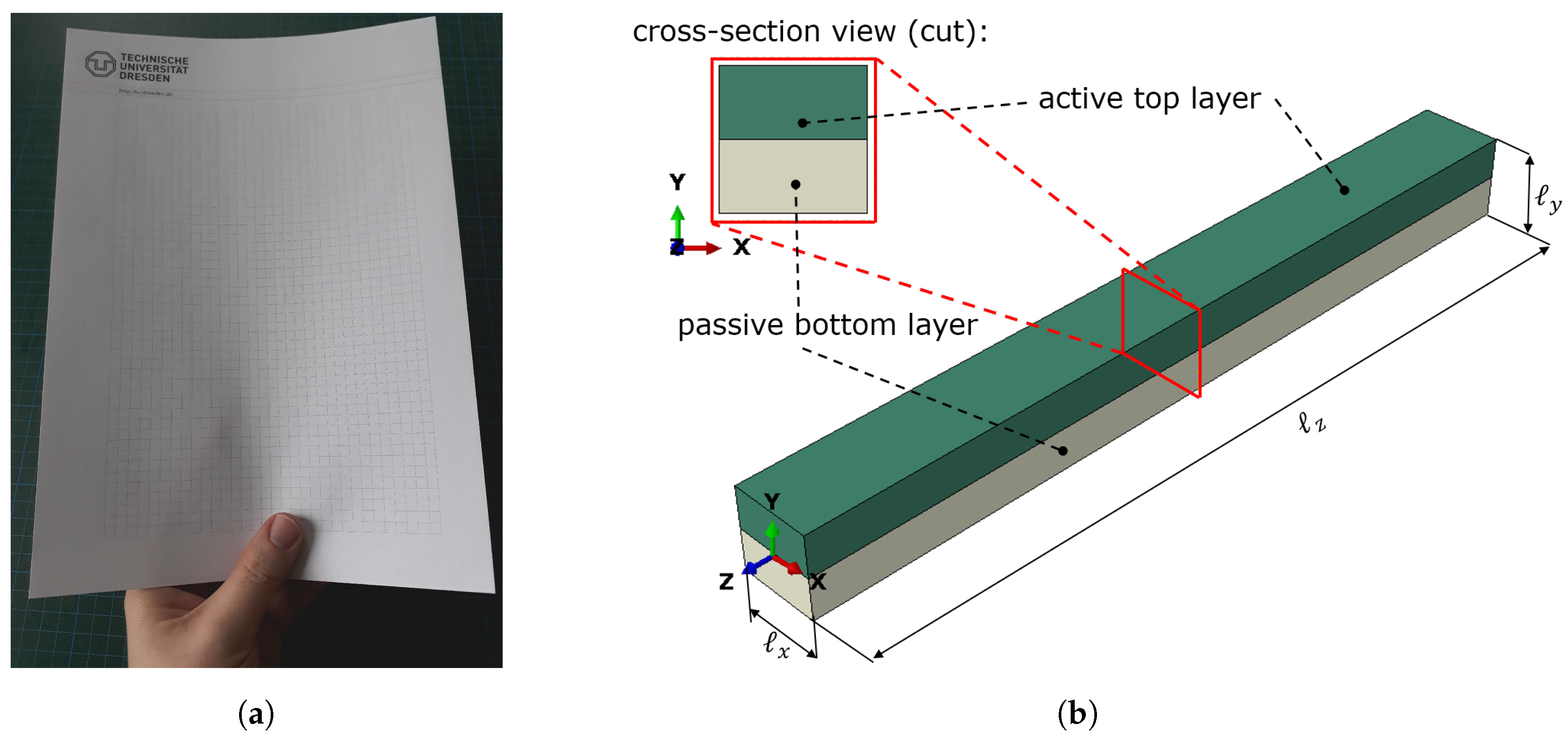 Micromachines 11 00541 g001