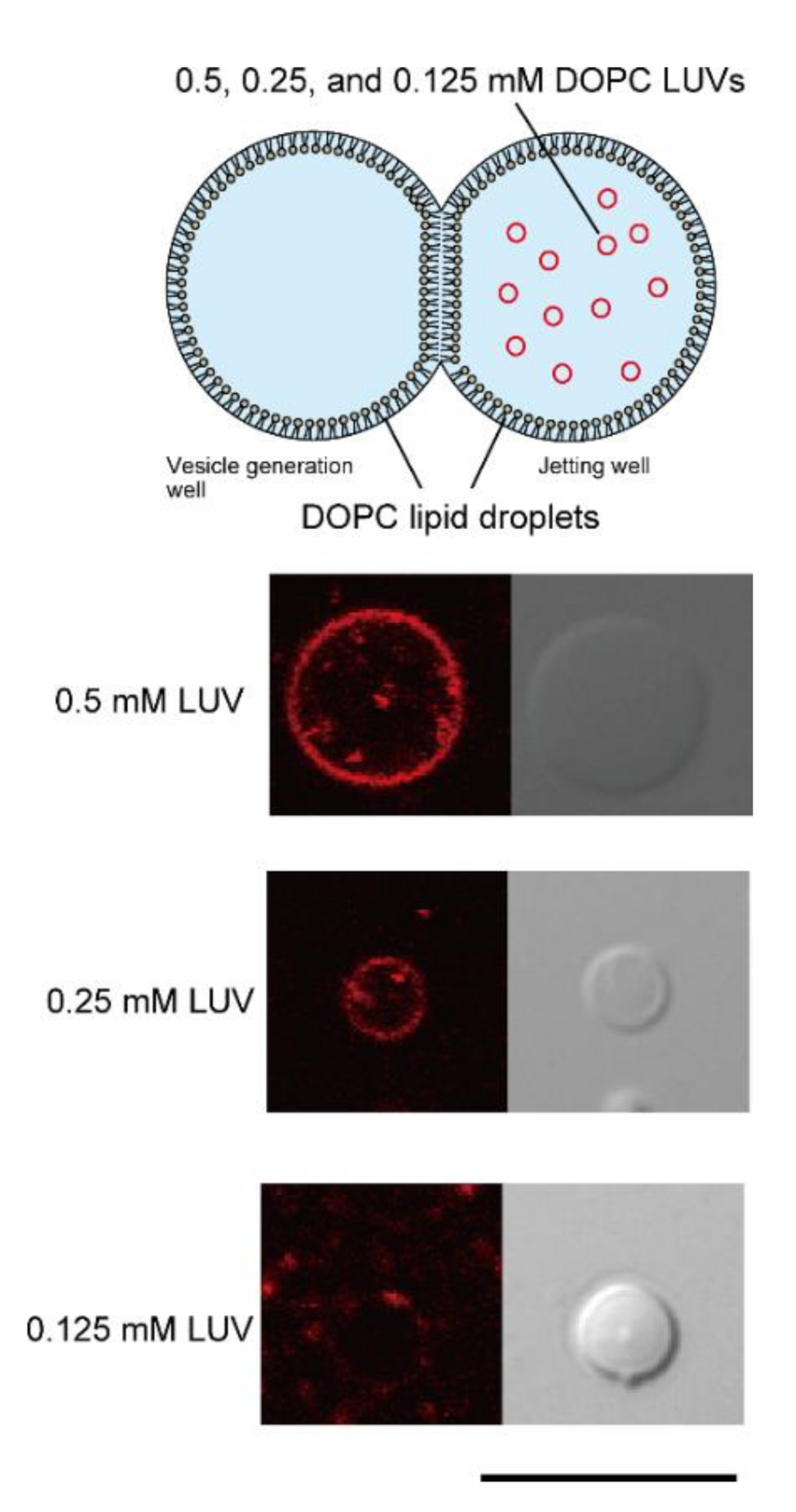 Micromachines 12 00133 g002