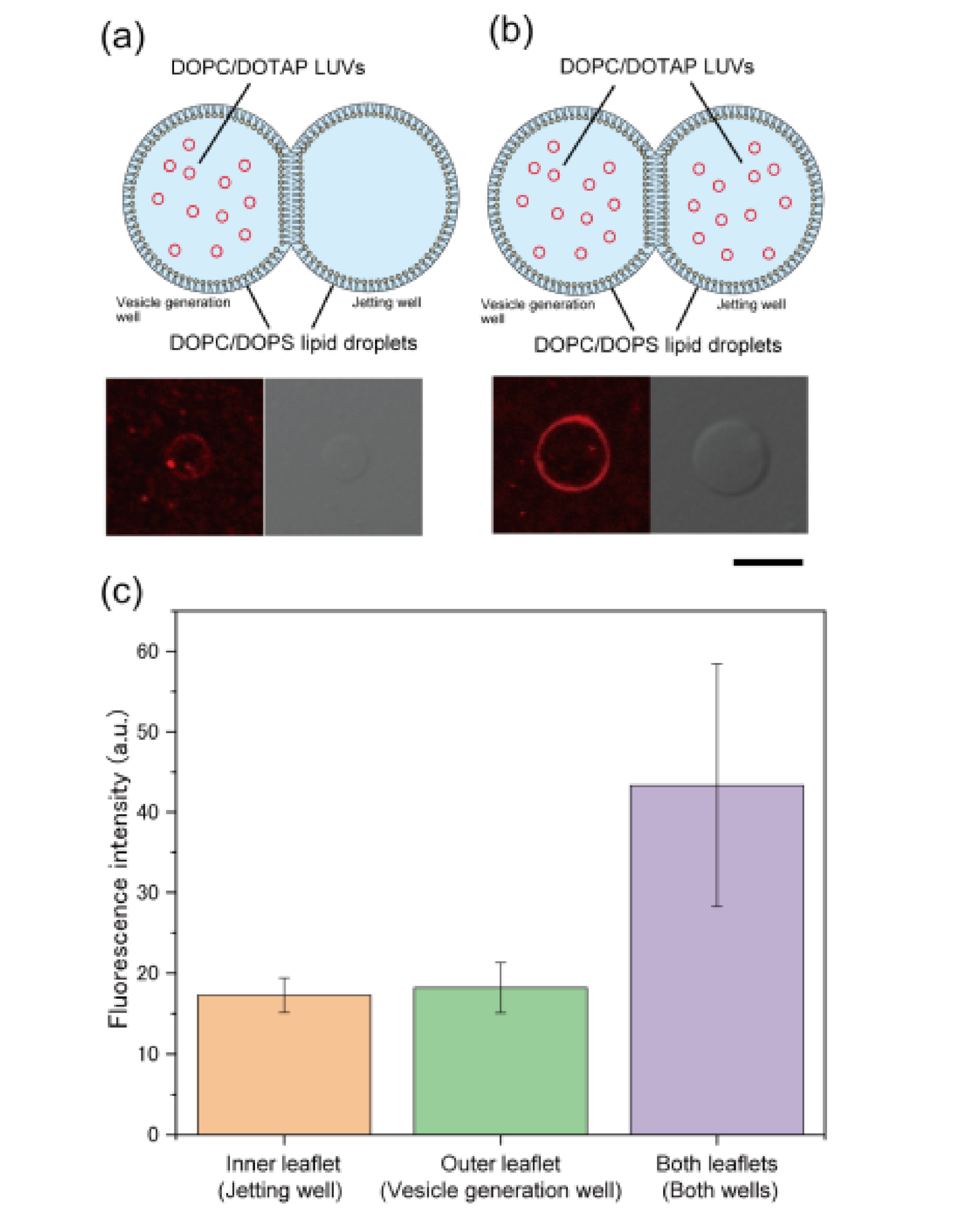 Micromachines 12 00133 g004