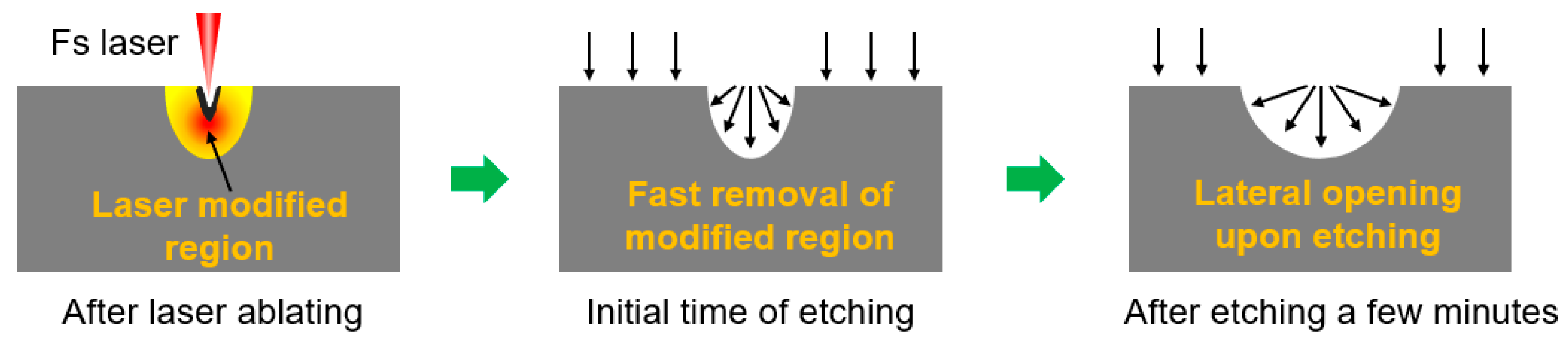 Micromachines 13 00218 g001