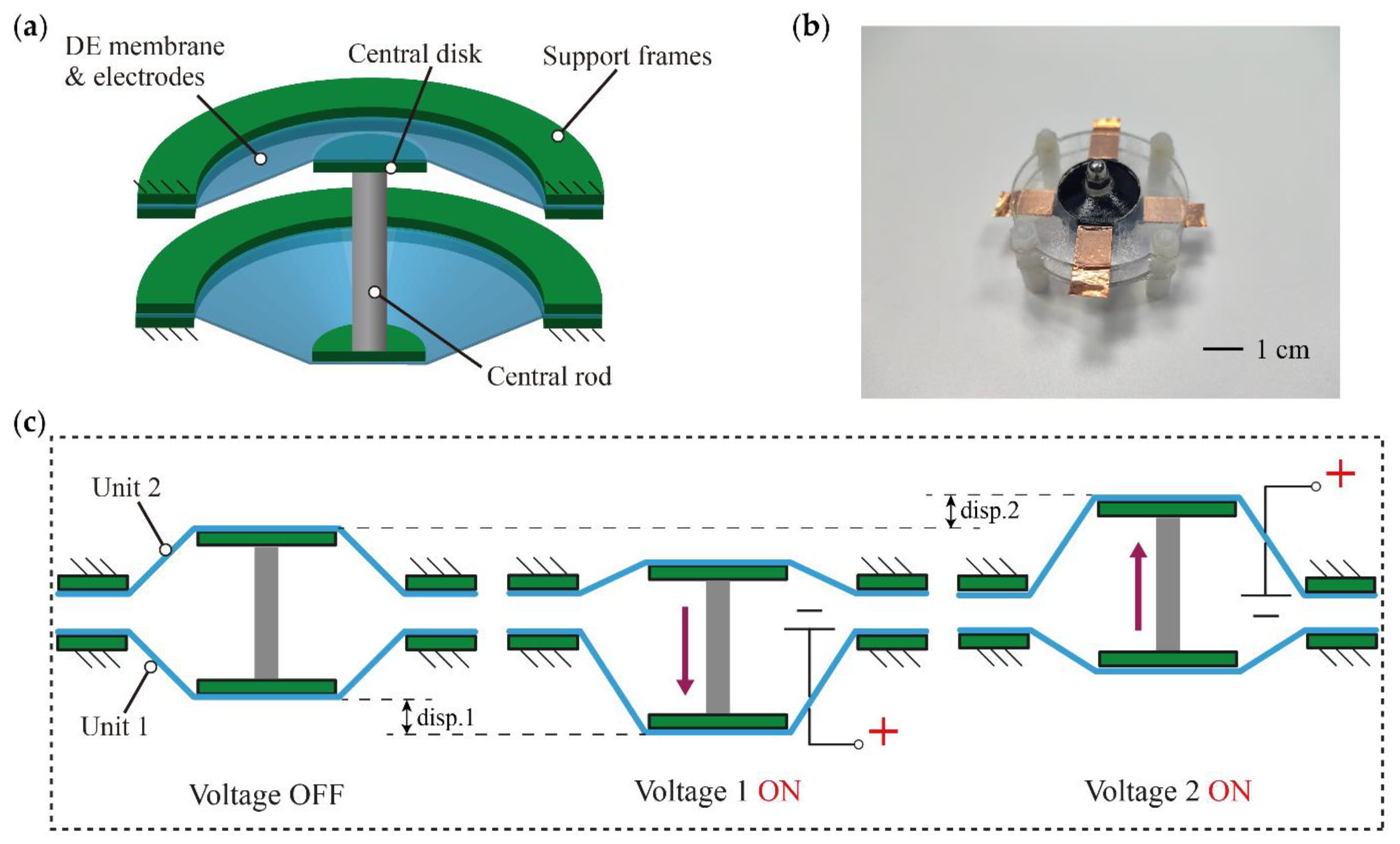 Micromachines 13 01660 g001