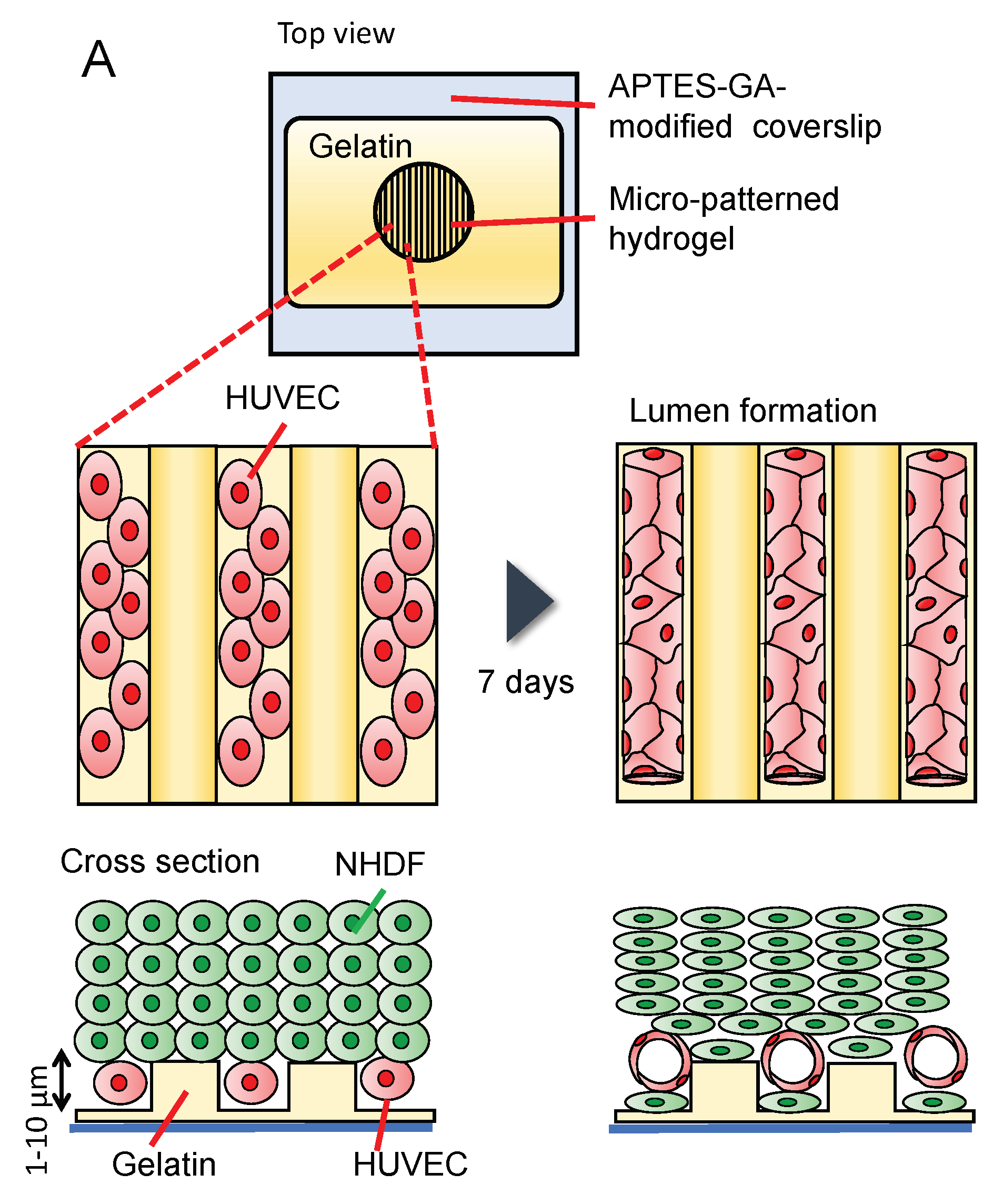 Micromachines 14 00107 g008a