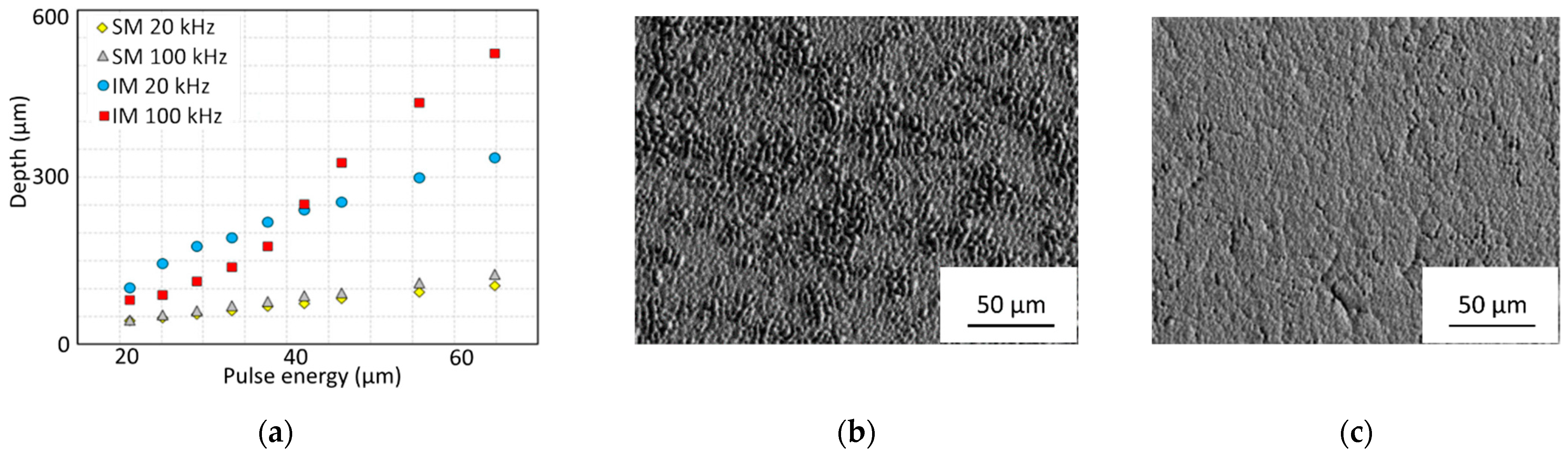 Micromachines 14 01241 g010