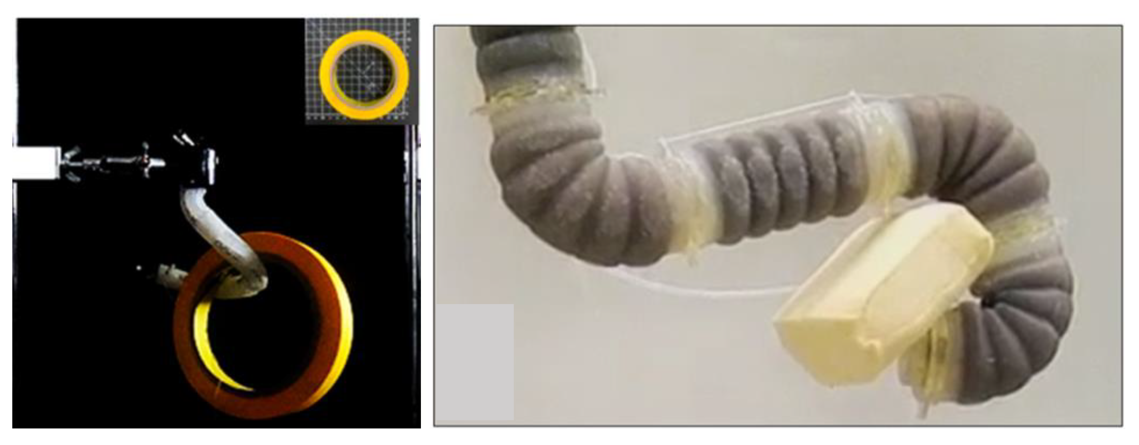 Micromachines 14 01772 g006