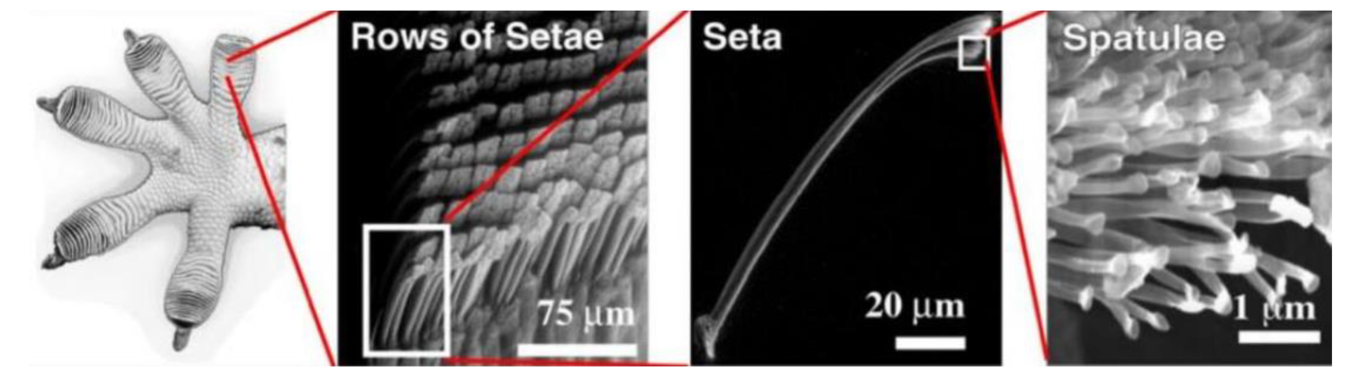 Micromachines 14 01772 g008