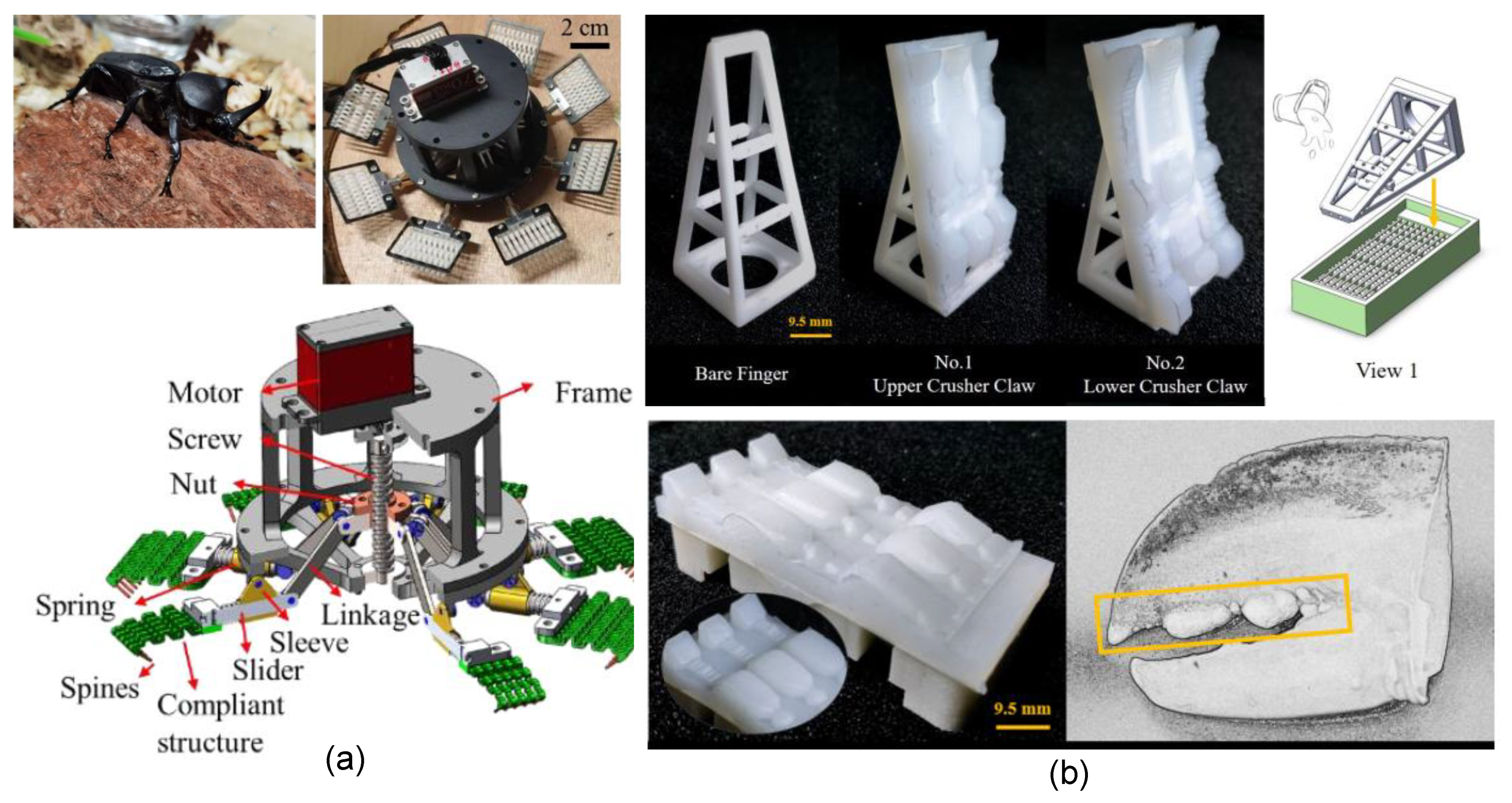 Micromachines 14 01772 g010