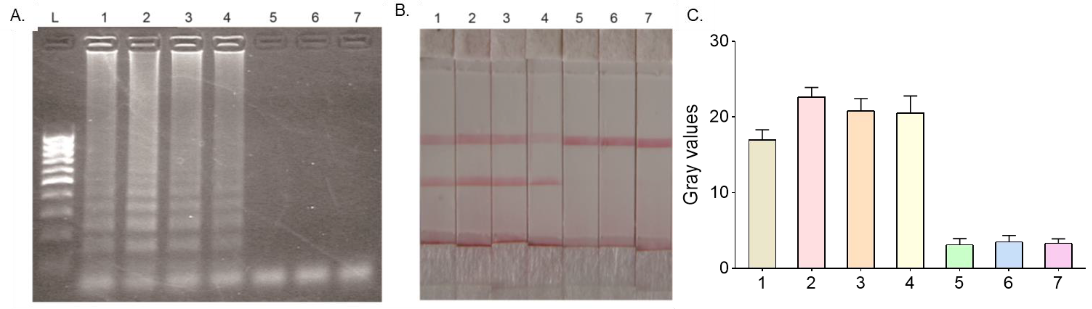 Micromachines 14 01917 g002