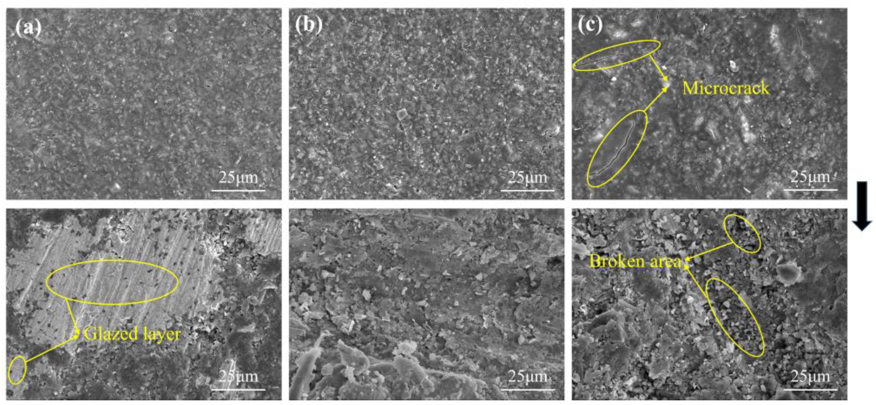 Micromachines 15 00056 g013