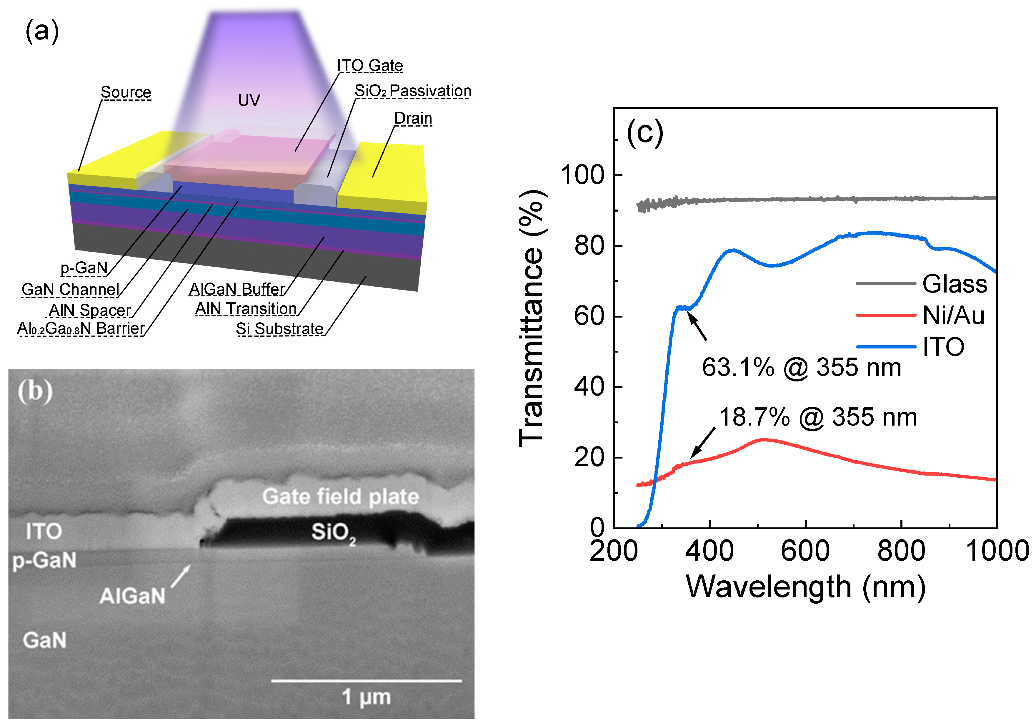 Micromachines 15 00156 g001