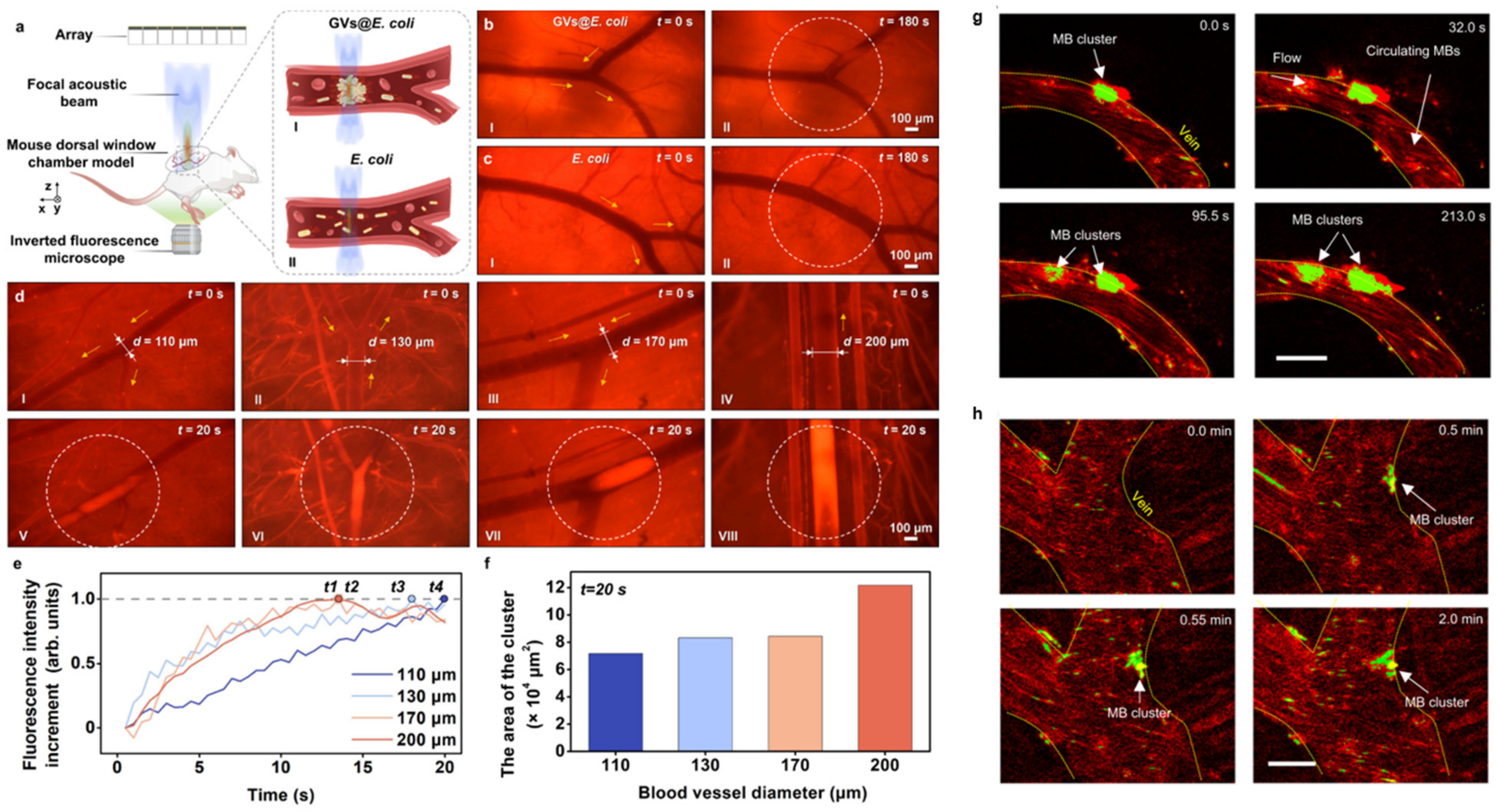 Micromachines 15 00186 g004