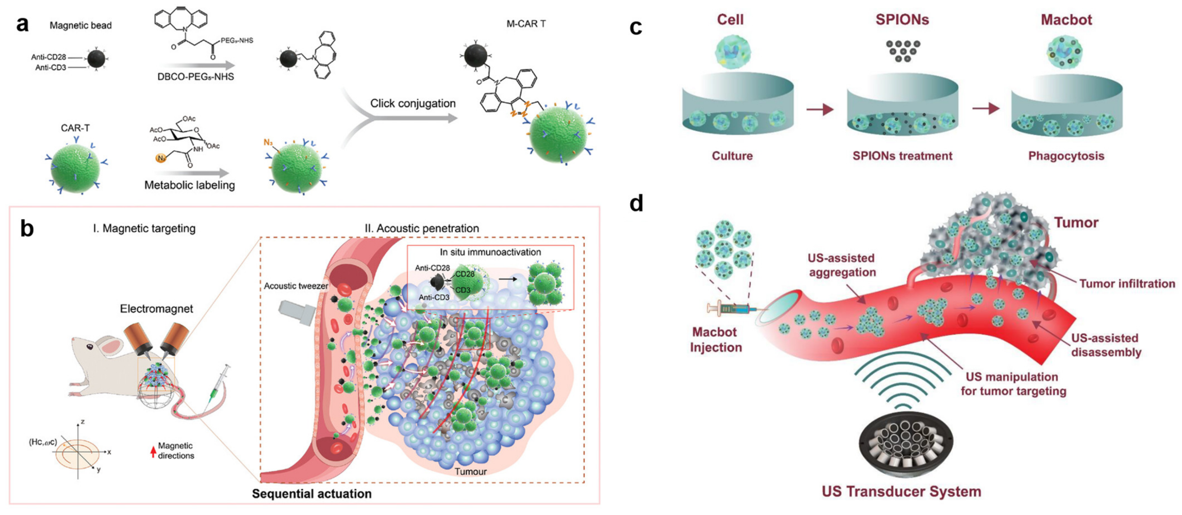 Micromachines 15 00186 g006