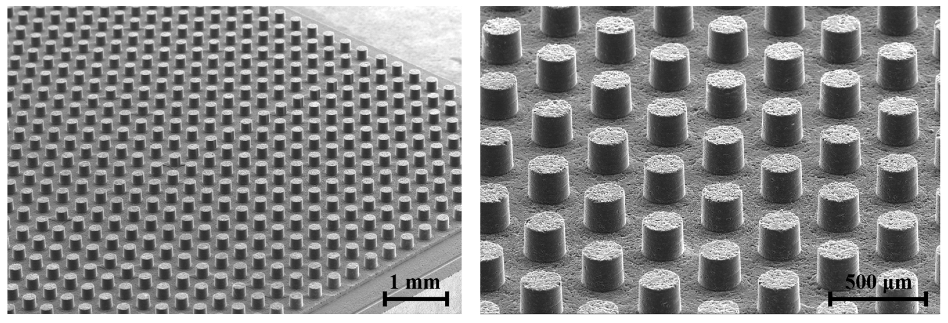Micromachines 15 00194 g014