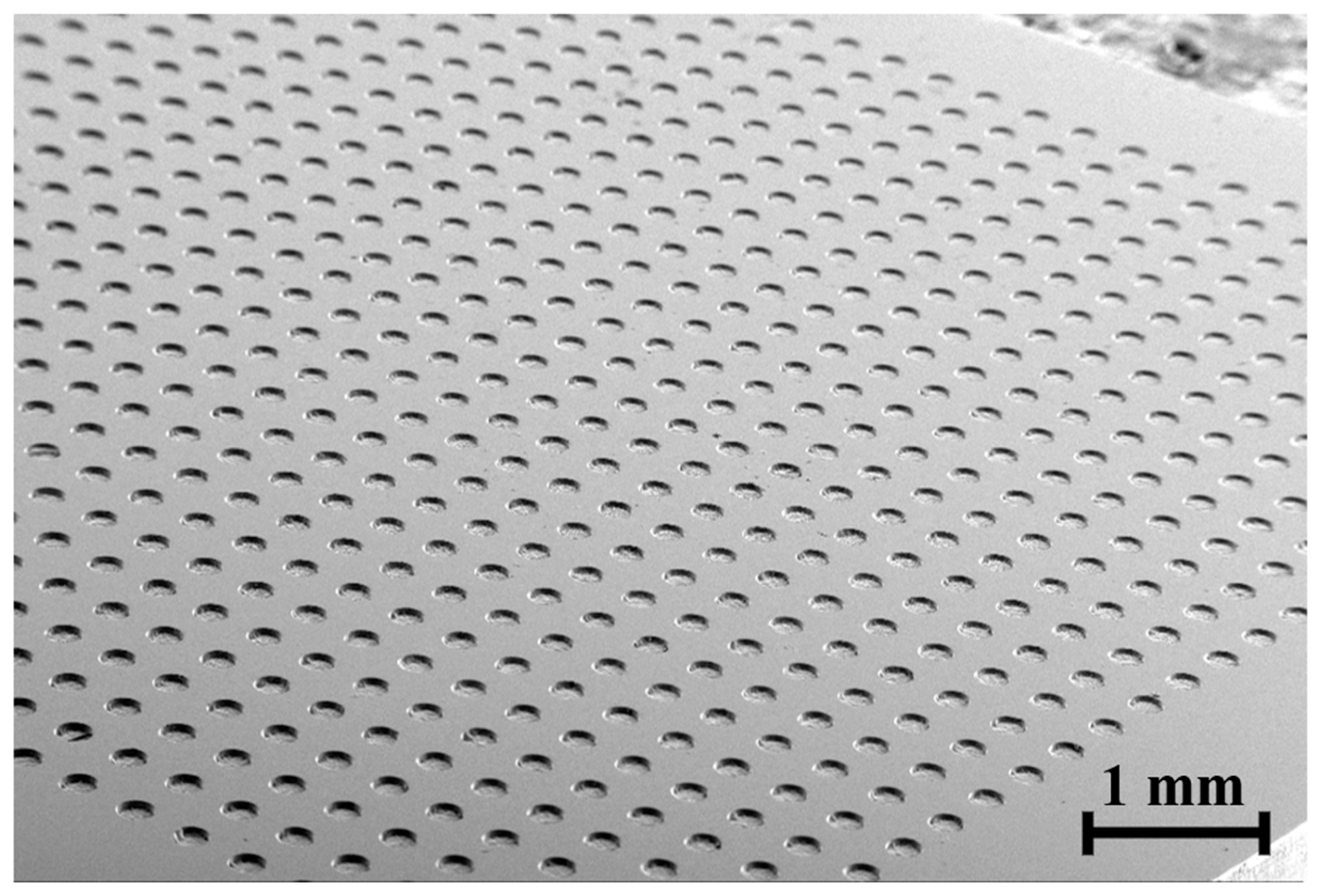 Micromachines 15 00194 g015