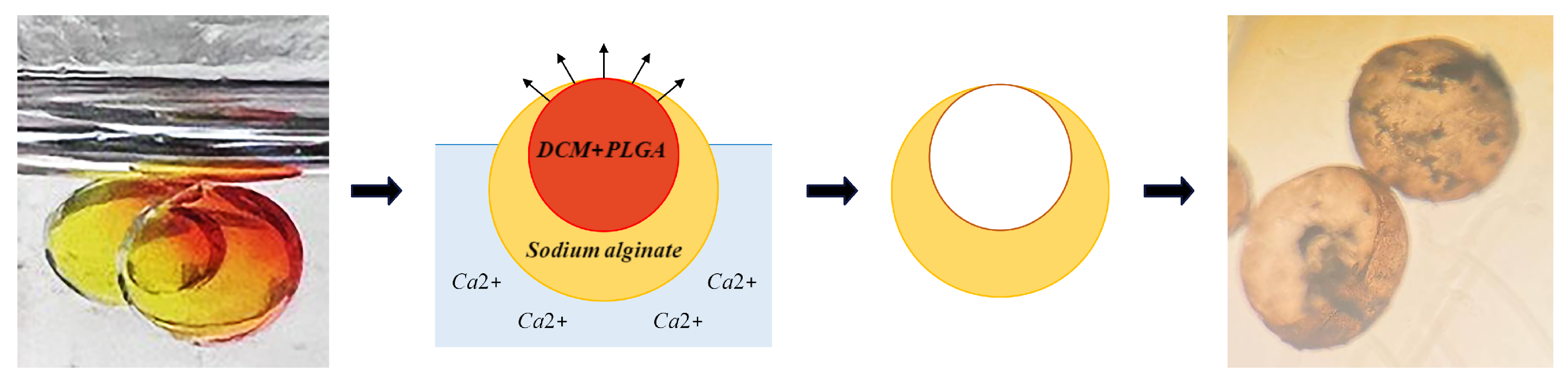 Micromachines 15 00239 g010