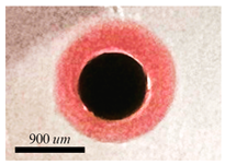 Micromachines 15 00239 i001