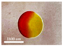 Micromachines 15 00239 i003