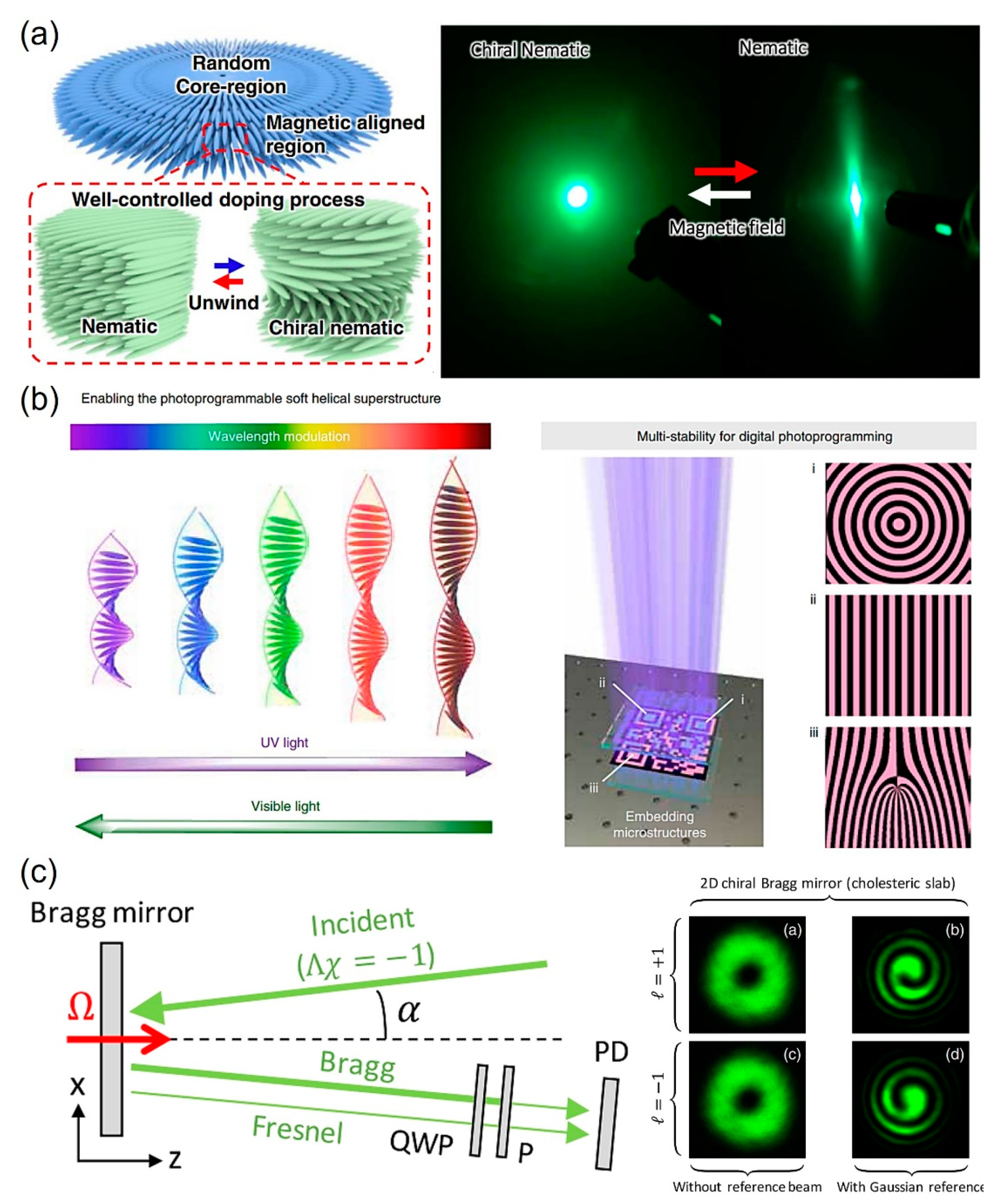 Micromachines 15 00528 g005