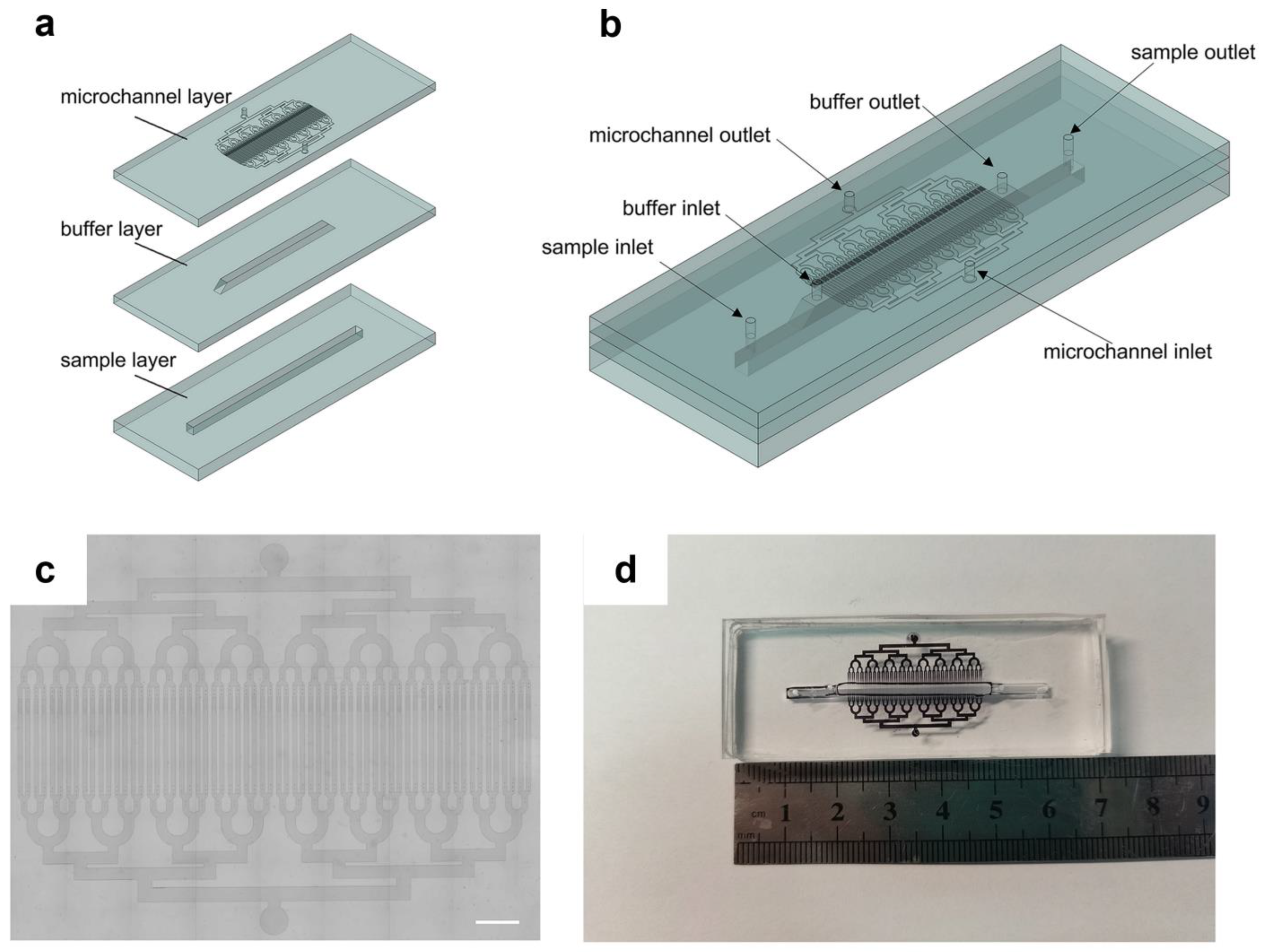 Micromachines 15 00542 g001