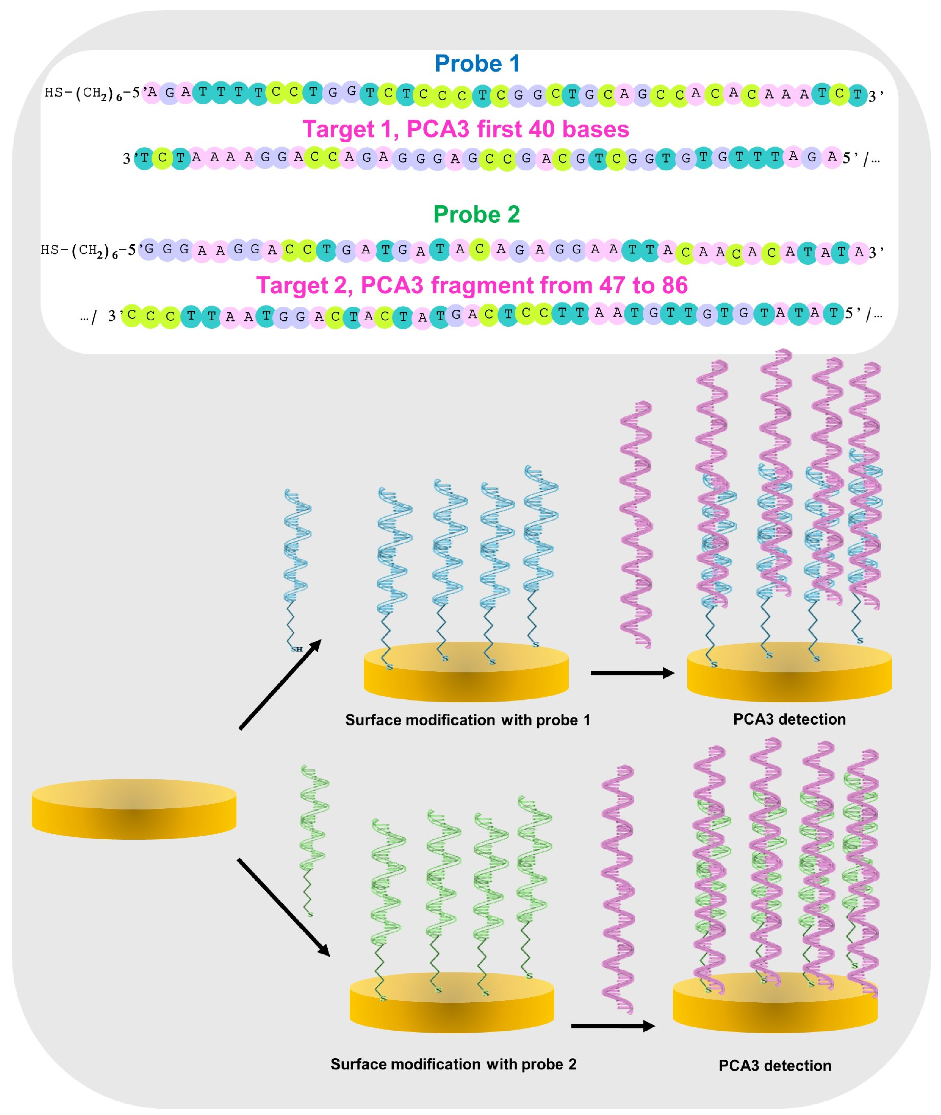 Micromachines 15 00602 g002