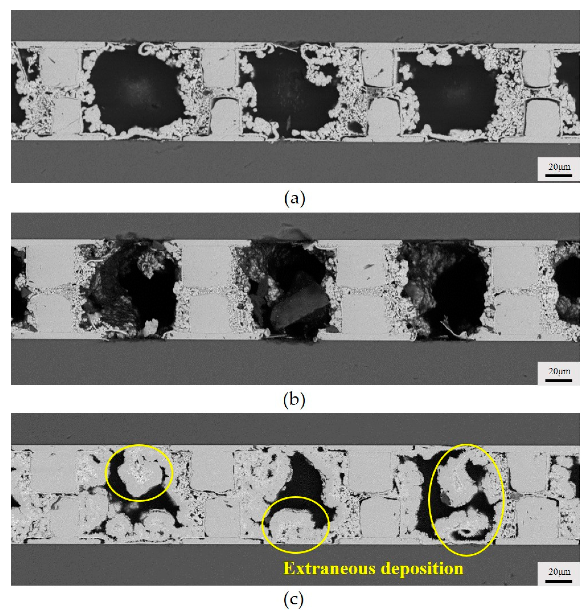 Micromachines 15 00612 g007
