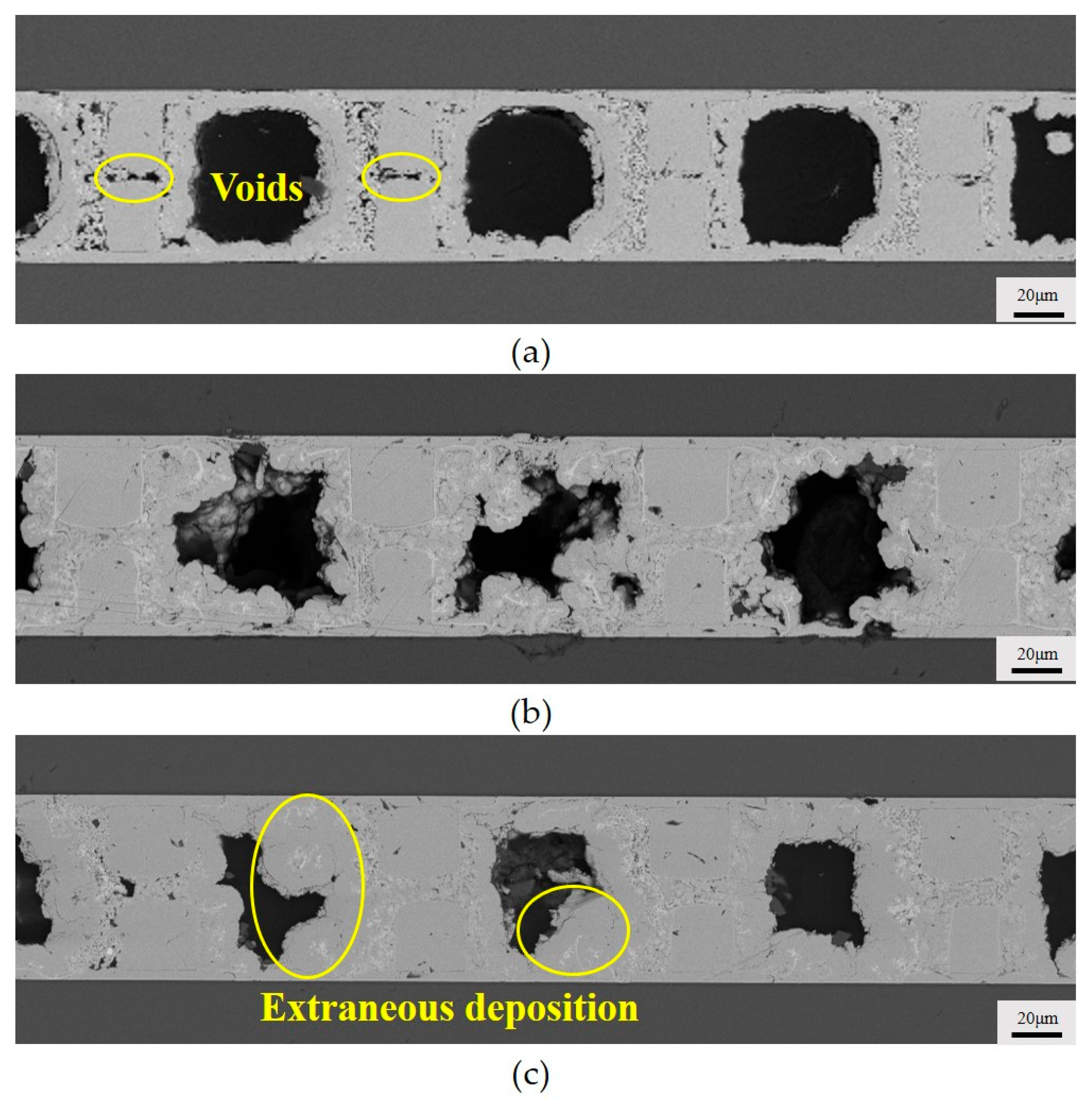 Micromachines 15 00612 g008