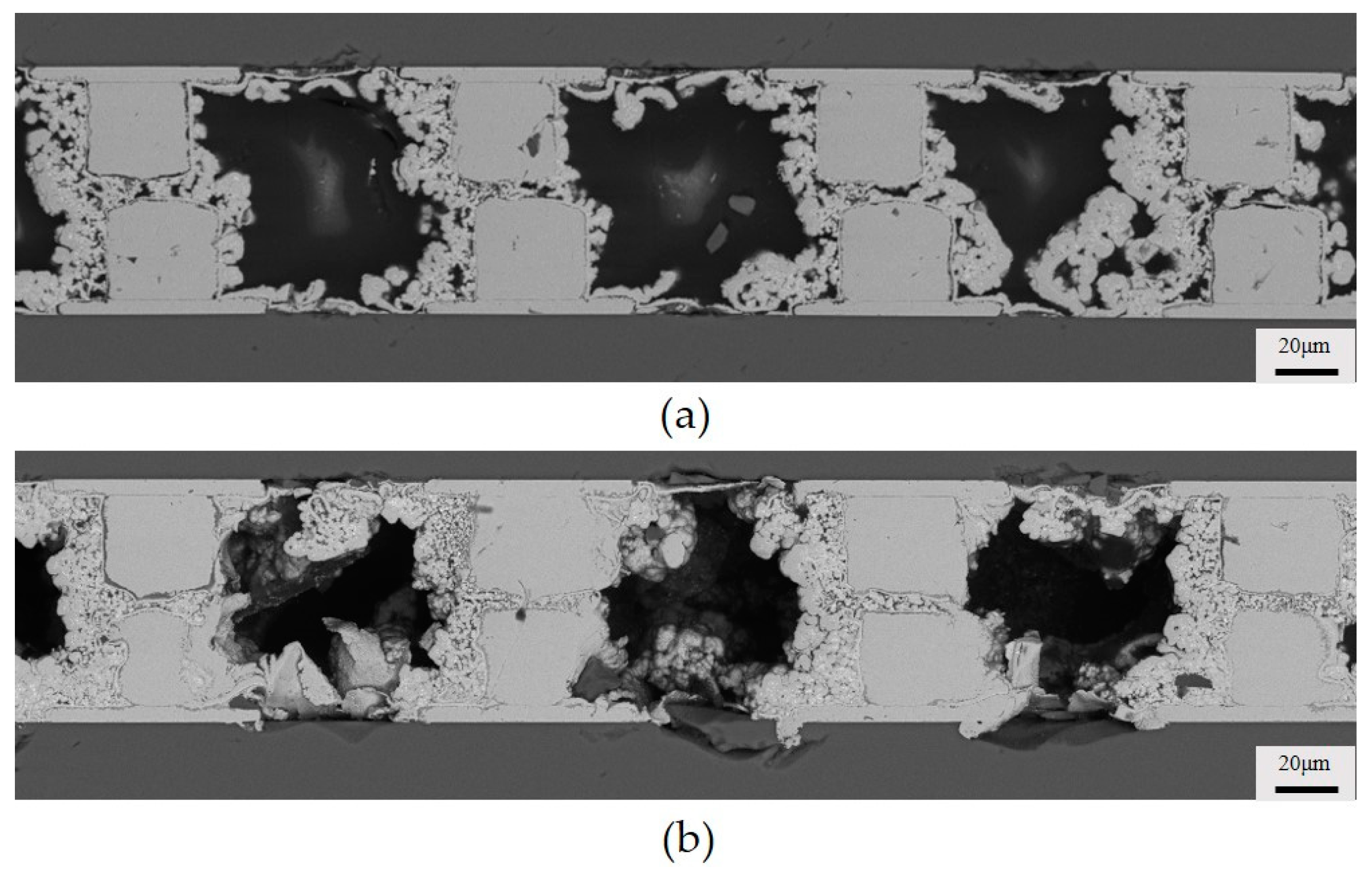 Micromachines 15 00612 g009