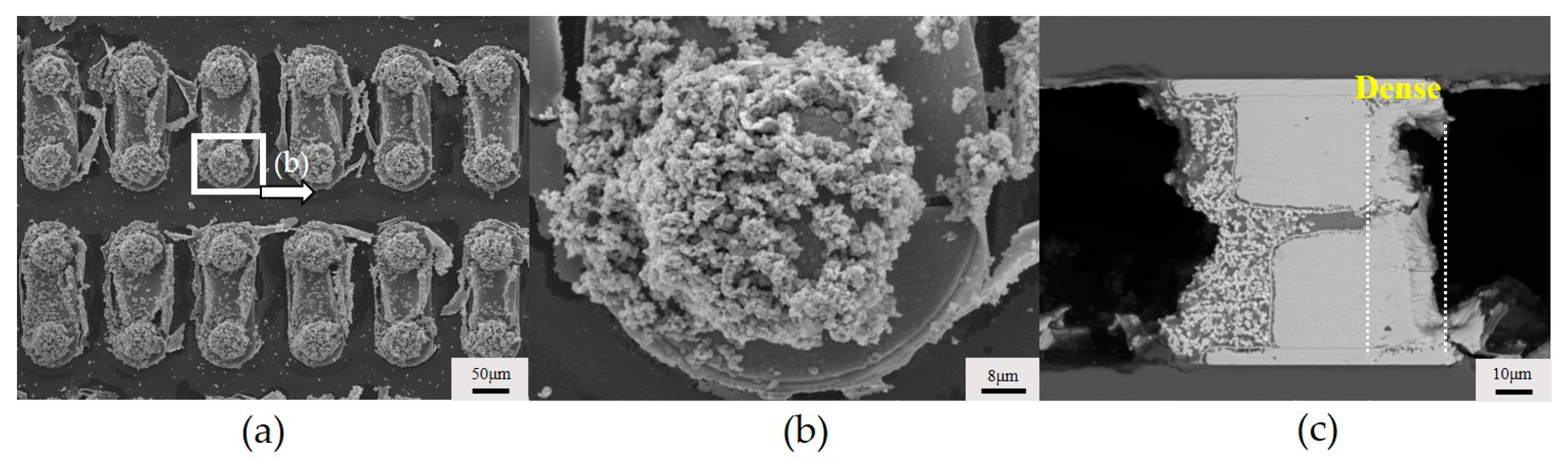 Micromachines 15 00612 g010