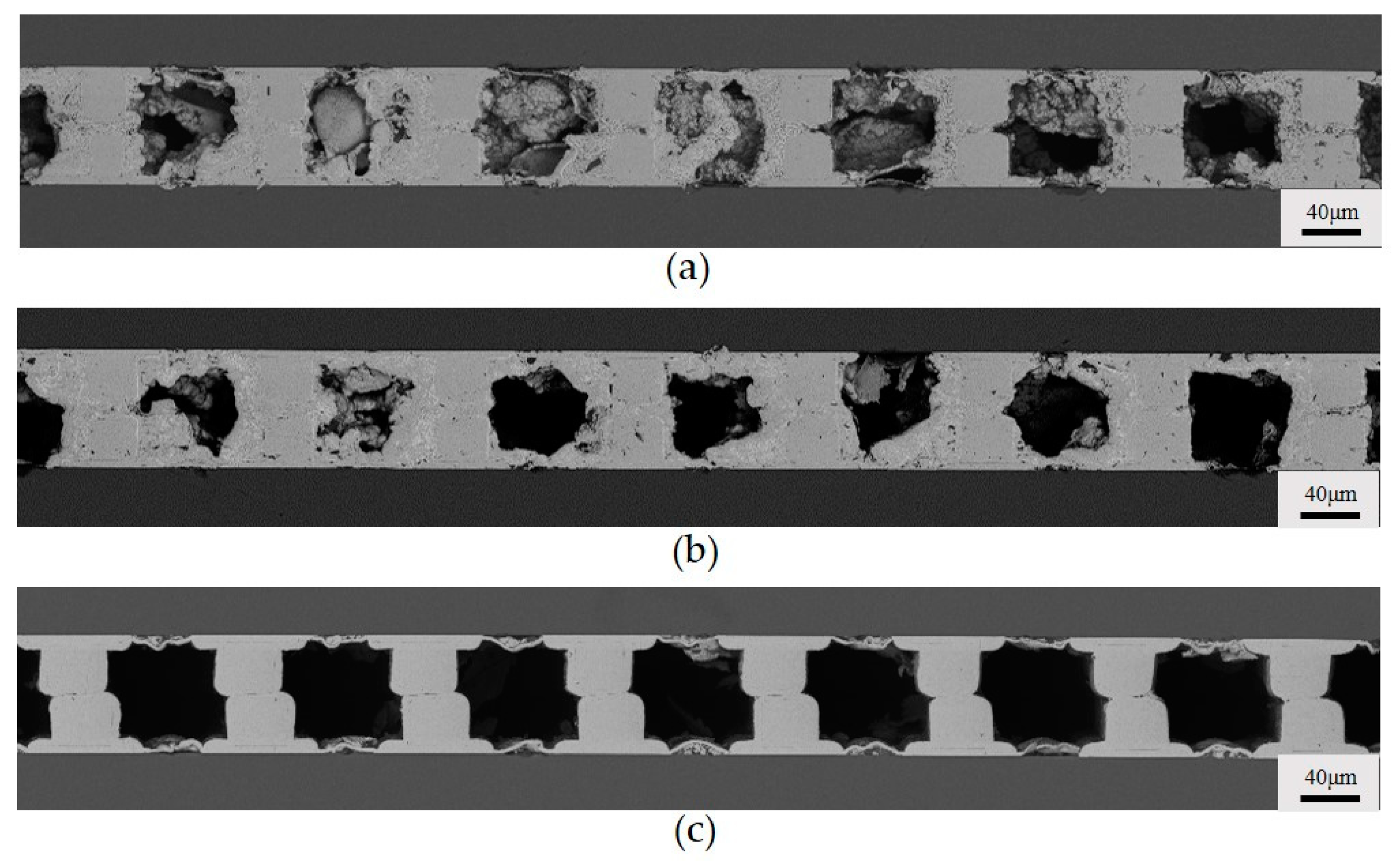 Micromachines 15 00612 g011