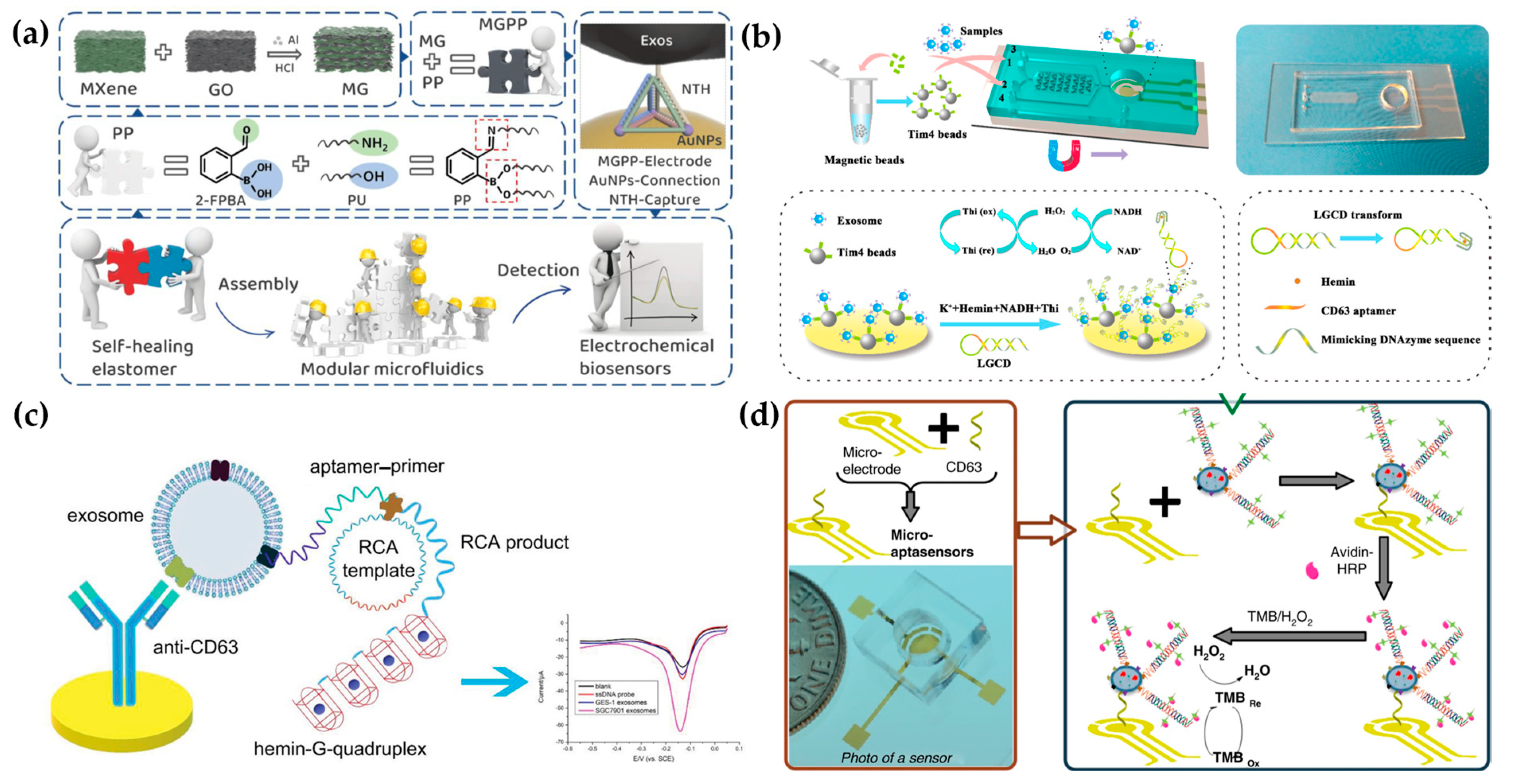 Micromachines 15 00630 g004