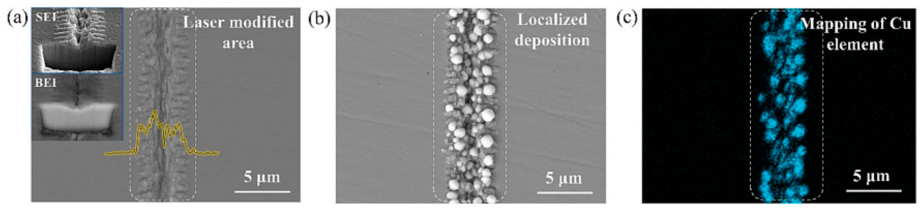 Micromachines 15 00639 g016