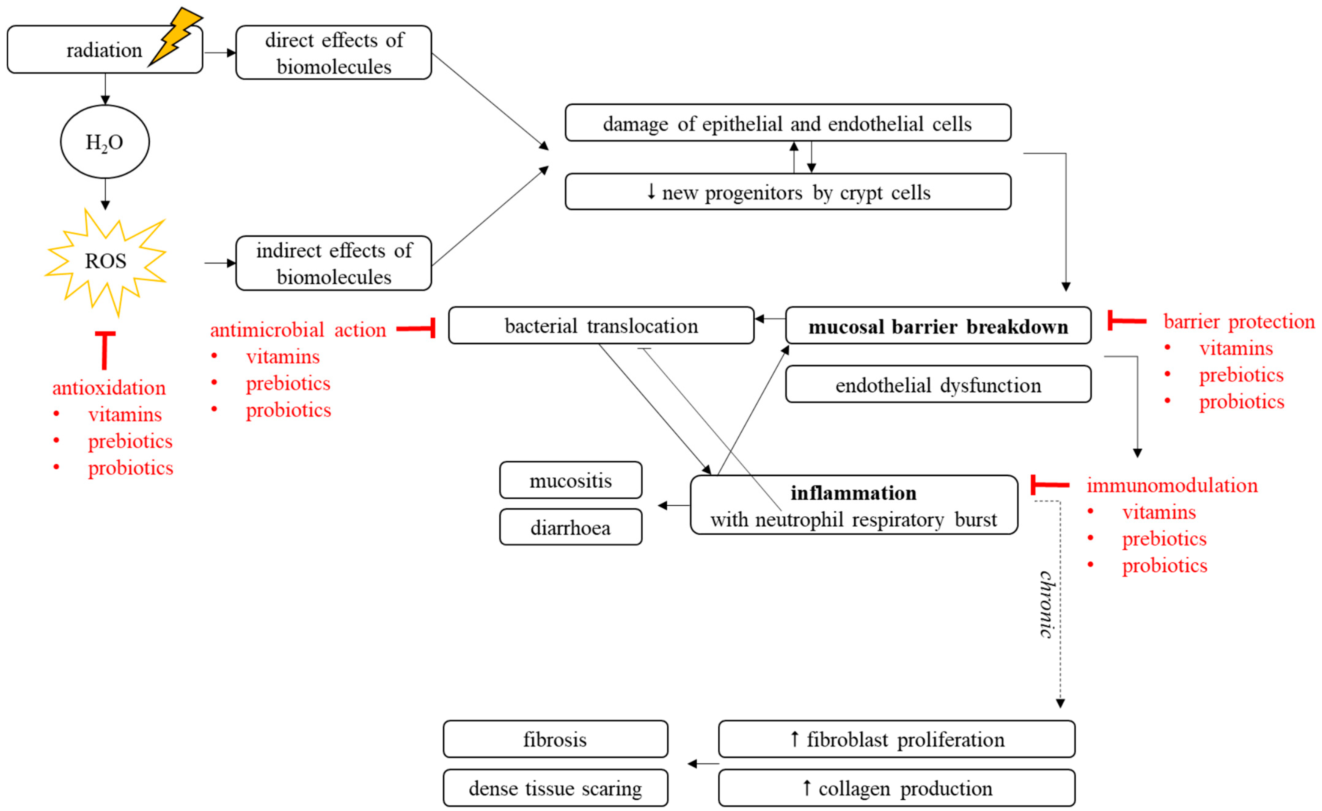 Microorganisms 07 00097 g001