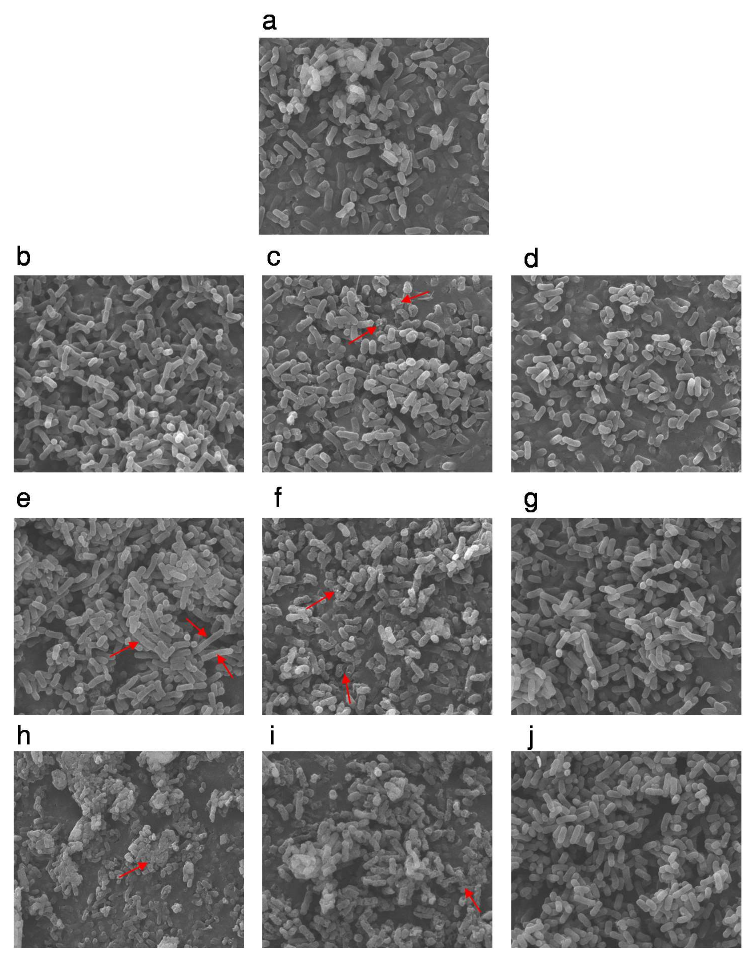 Microorganisms 07 00154 g002 Microorganisms 07 00154 g002