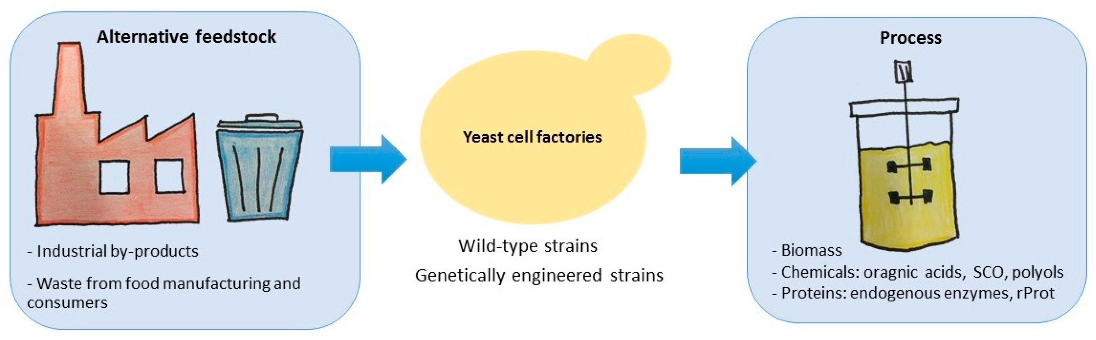 Microorganisms 07 00229 g001