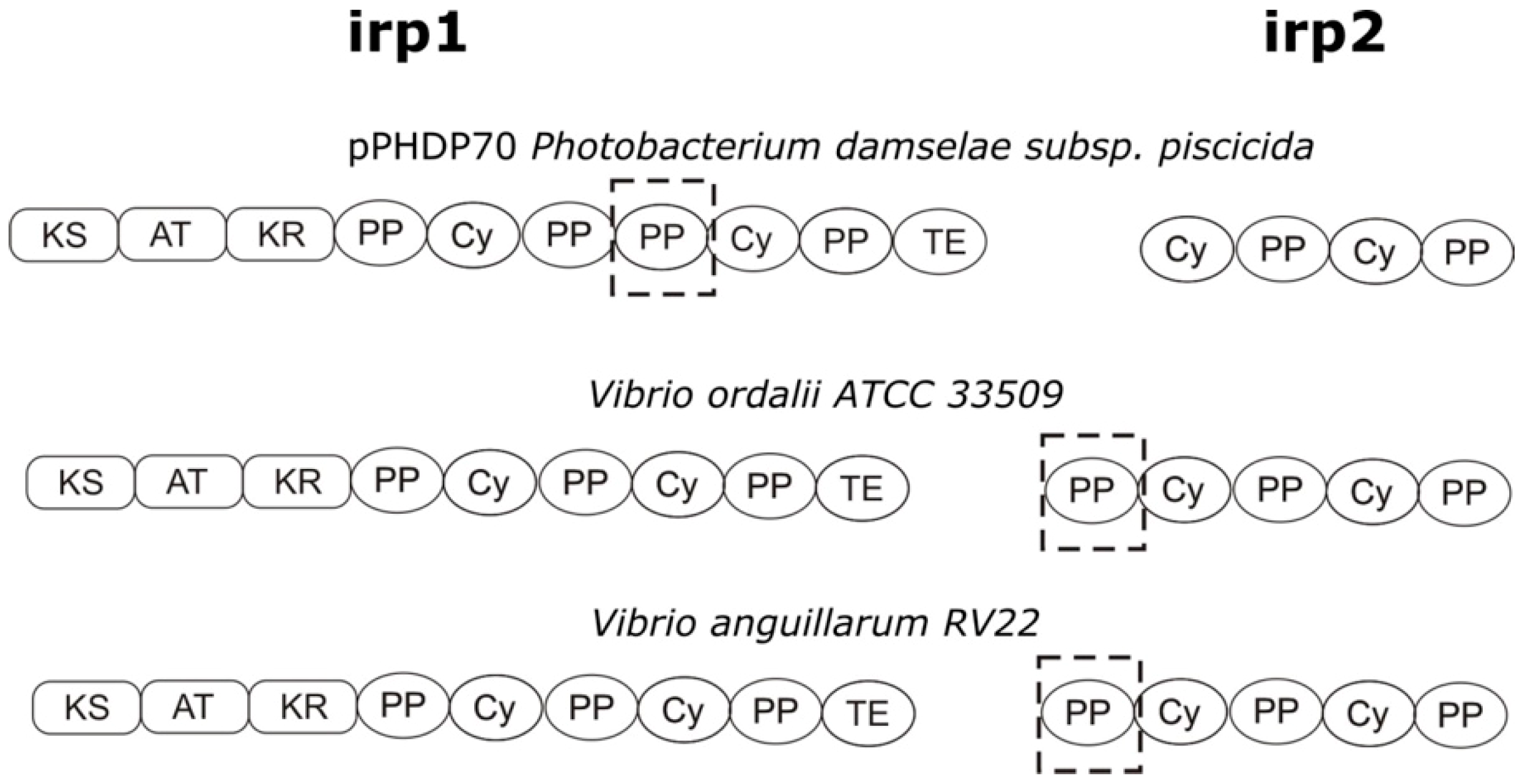 Microorganisms 07 00313 g002