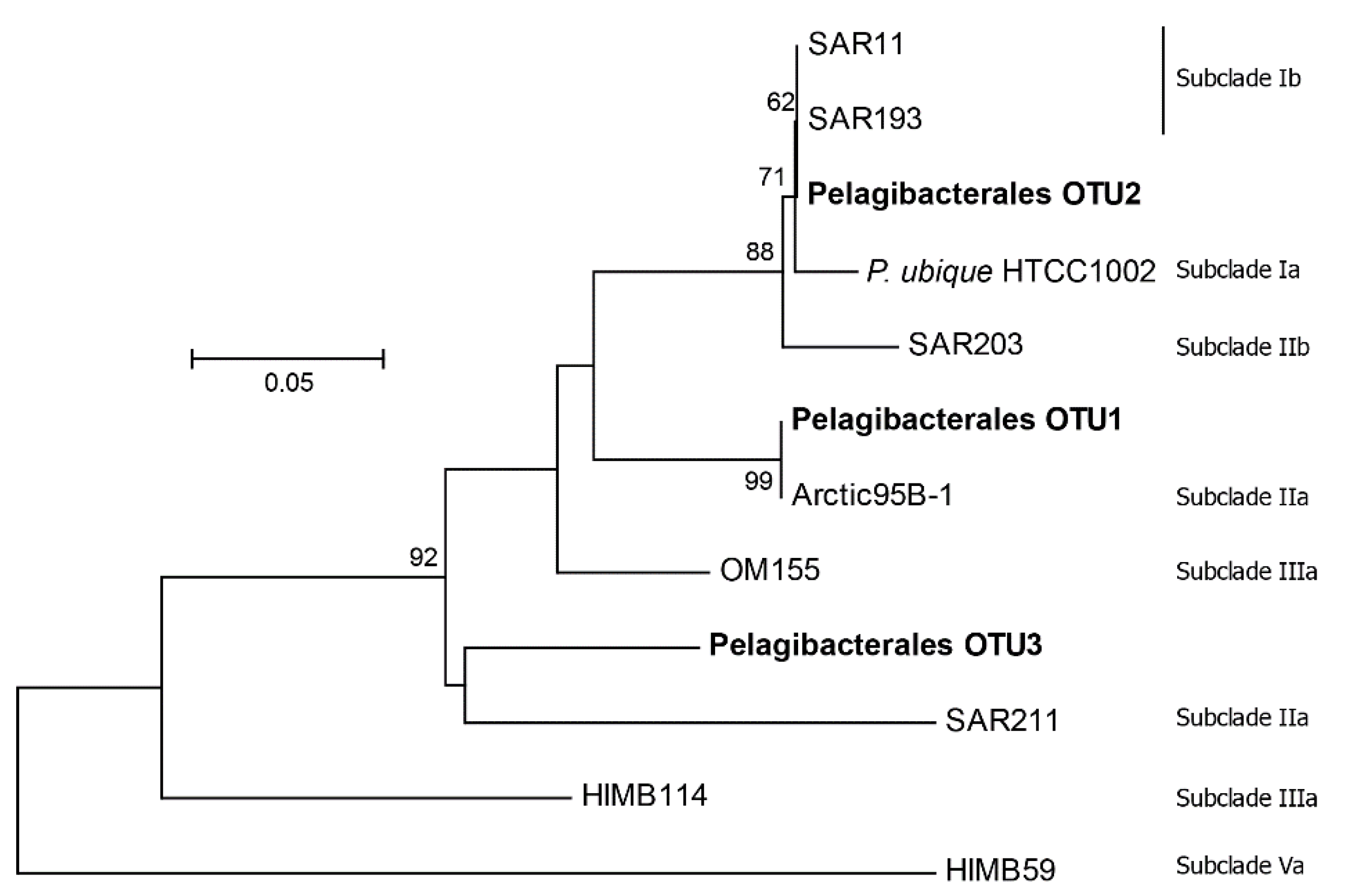 Microorganisms 07 00385 g007