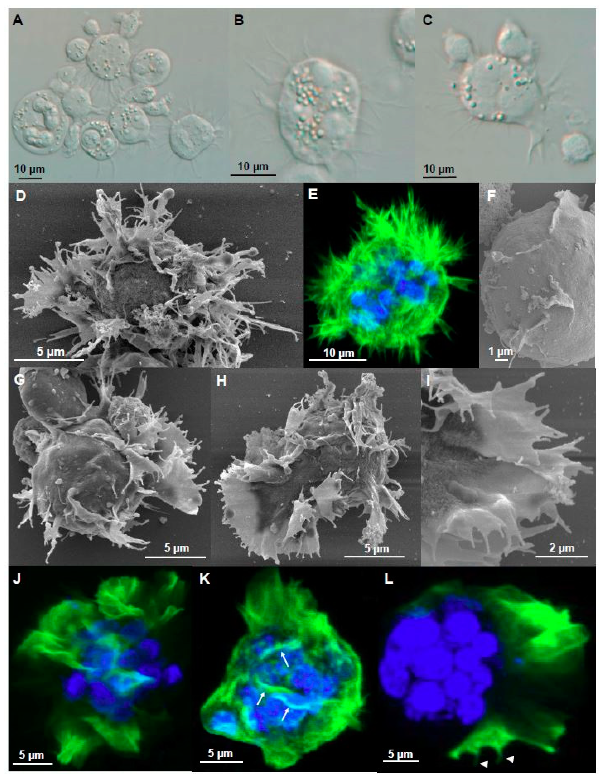 Microorganisms 07 00397 g003 Microorganisms 07 00397 g003