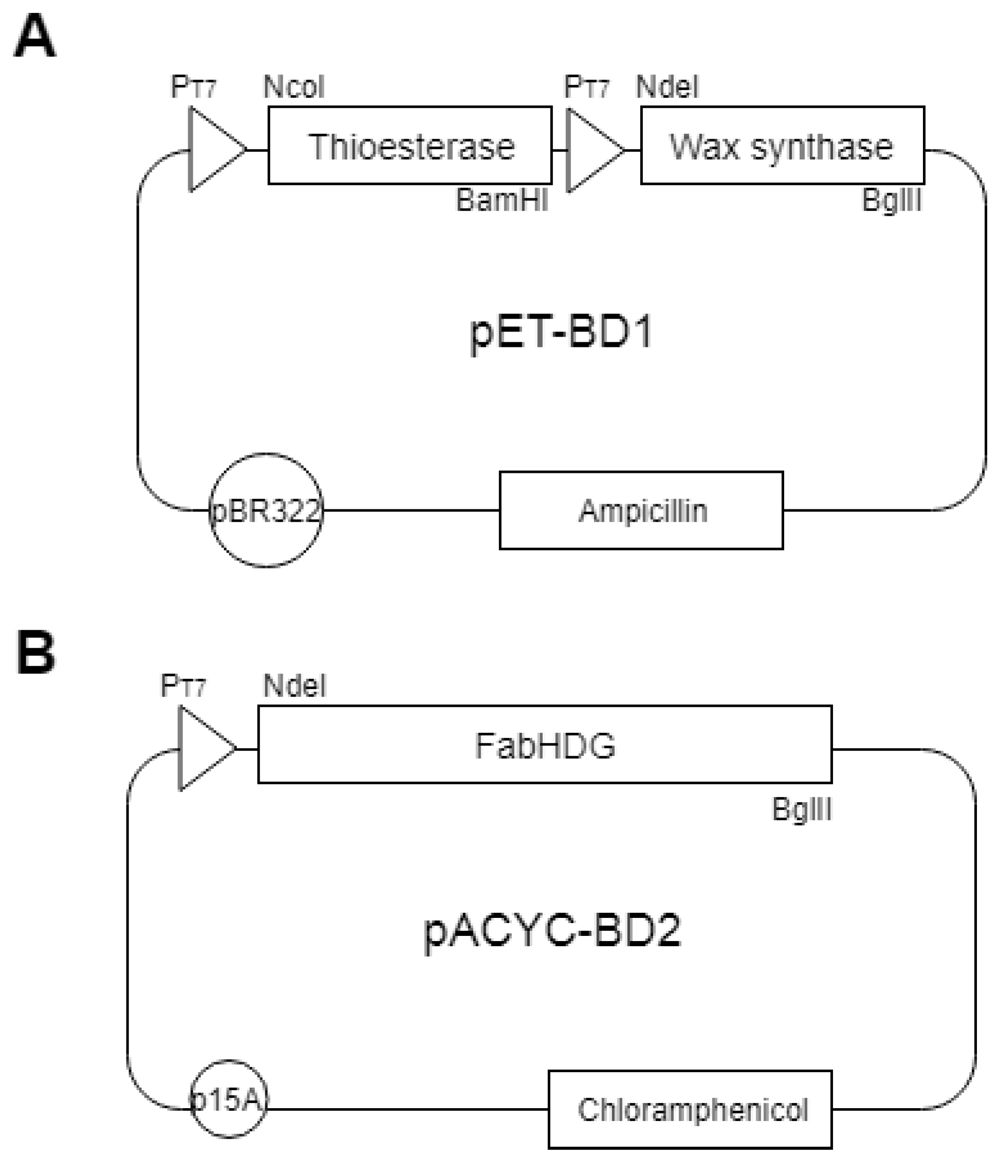Microorganisms 07 00552 g002