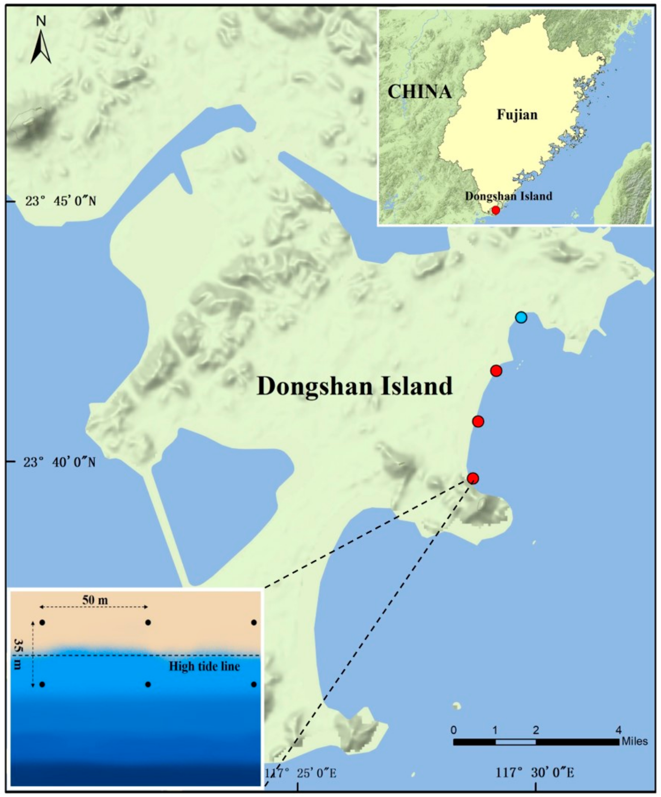 Microorganisms 07 00598 g001