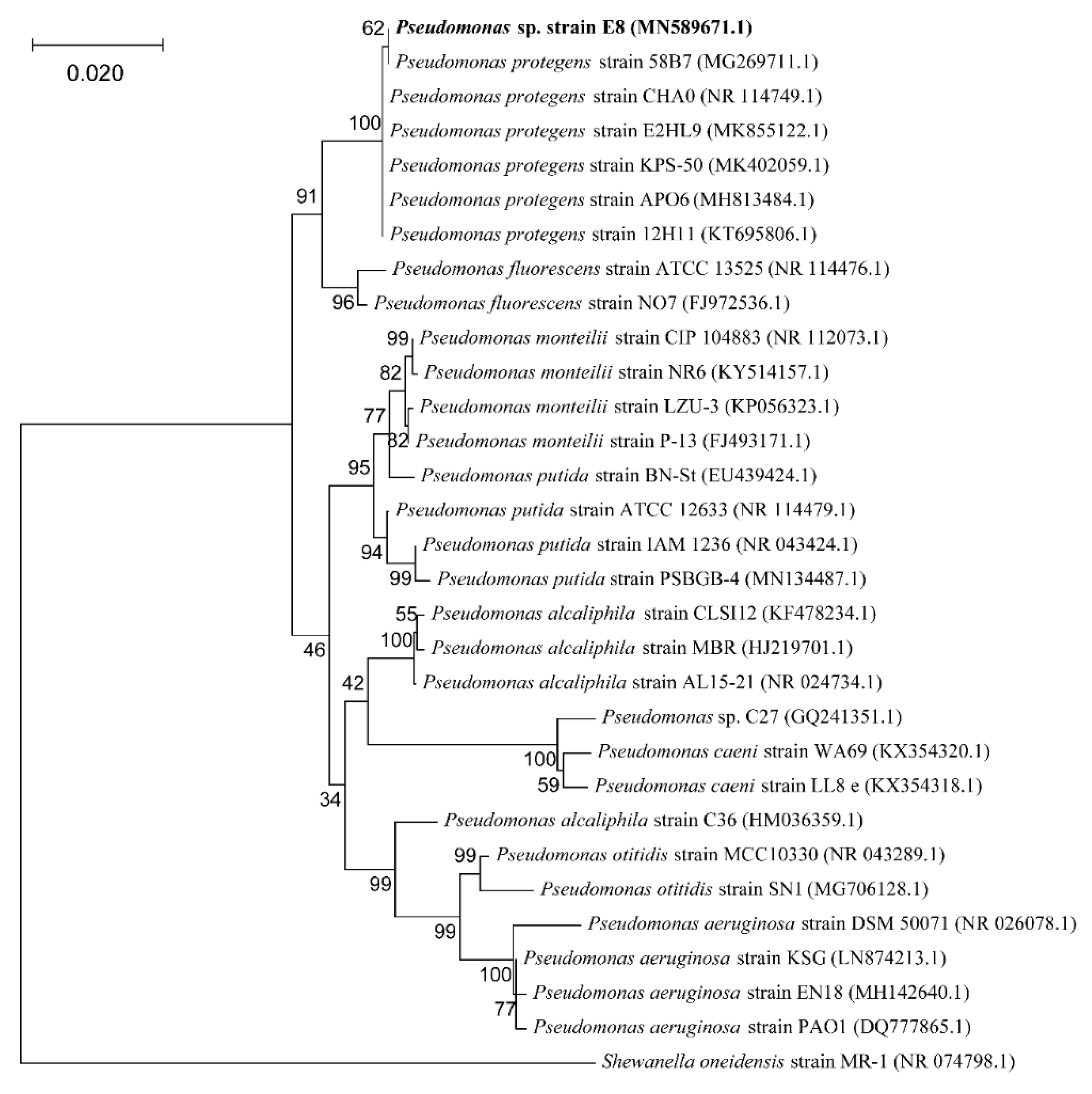 Microorganisms 08 00041 g001